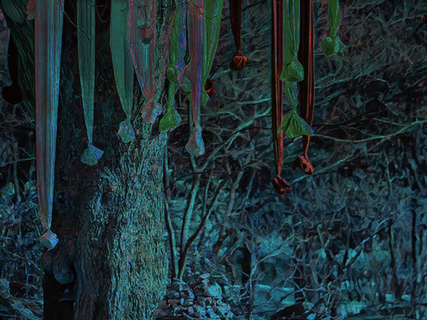 Sleepwalking Forest - Screenshot