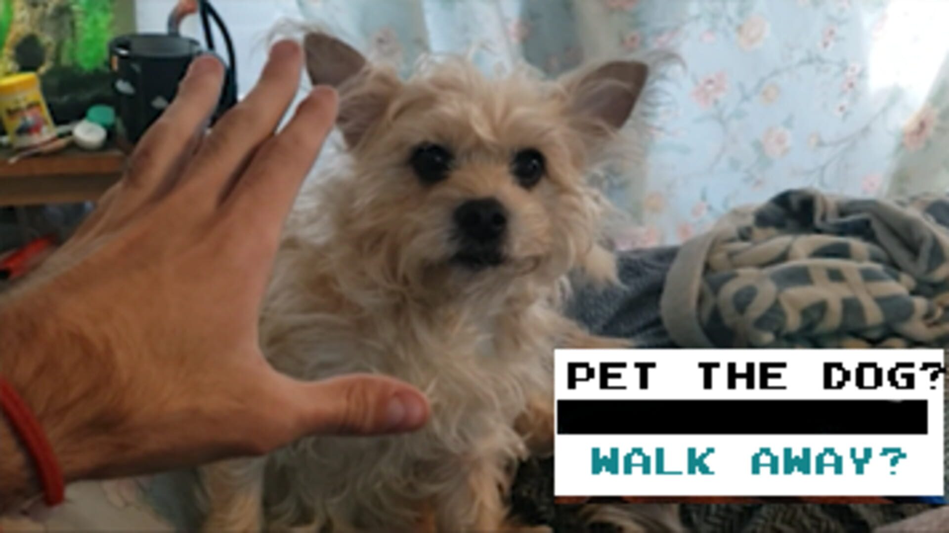 Pet the Dog? - Screenshot