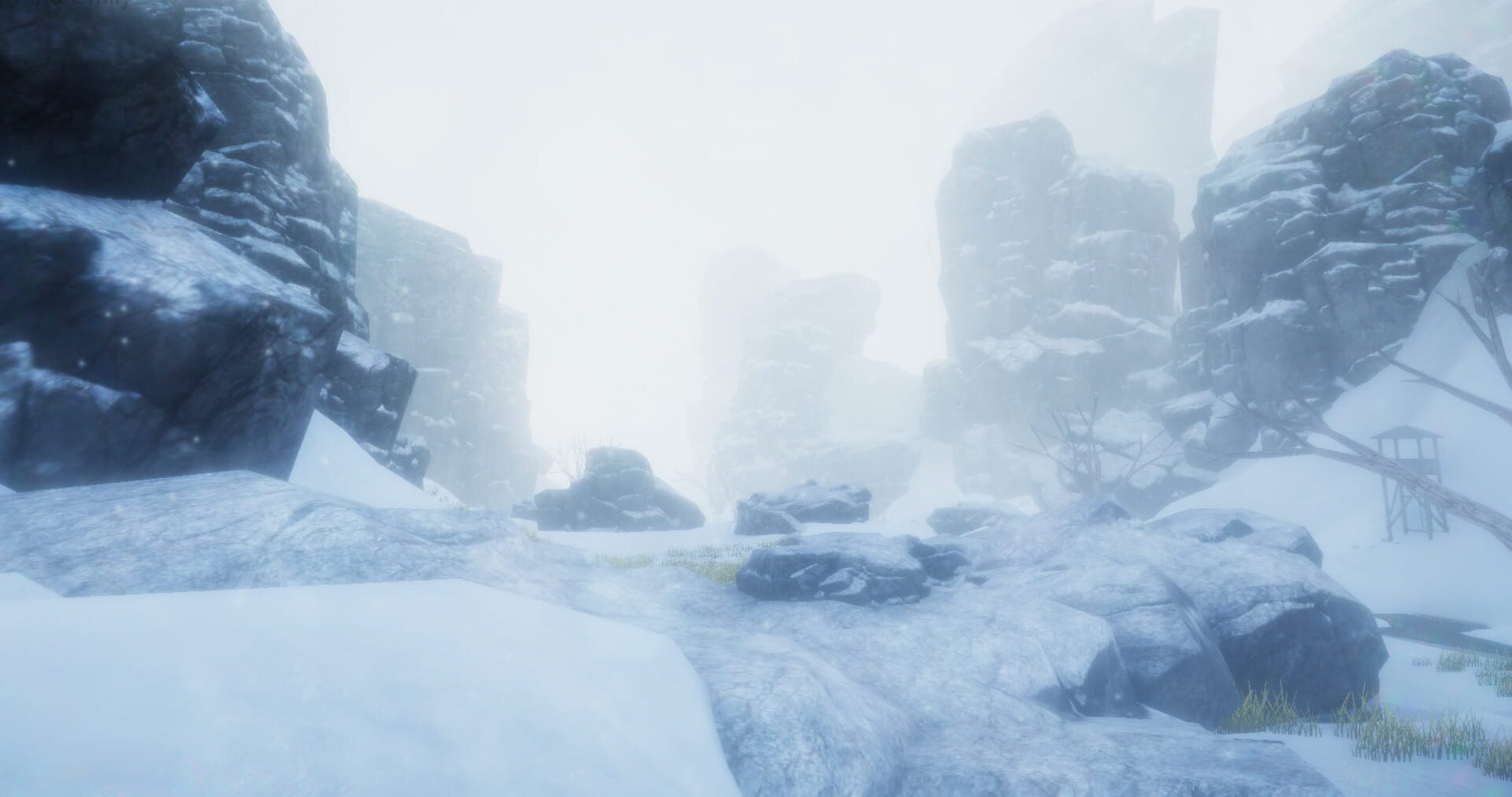Whiteout