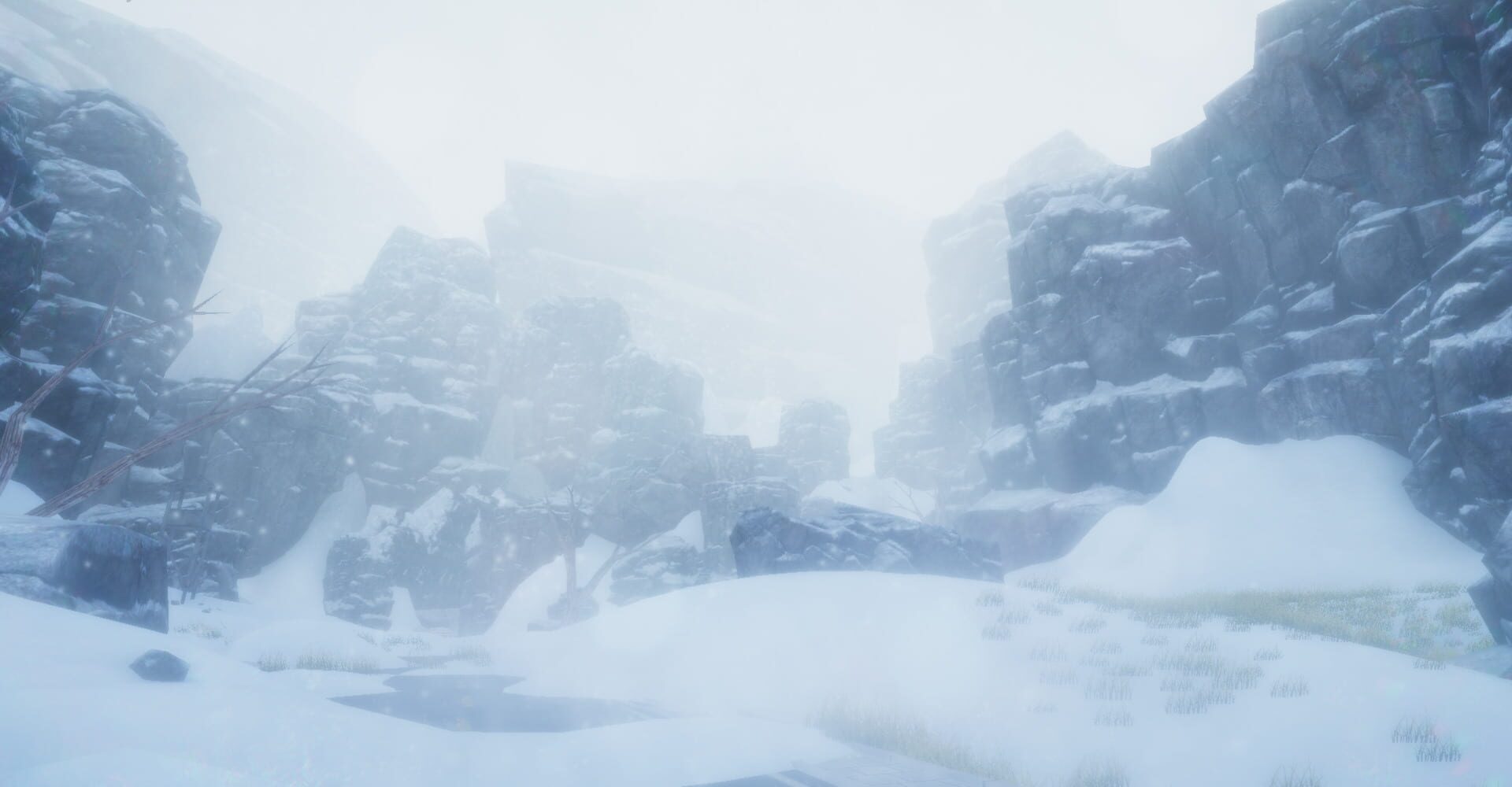 Whiteout - Screenshot
