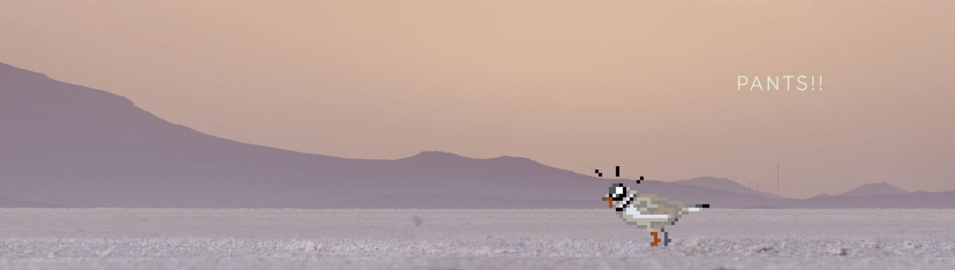 Plover - Screenshot