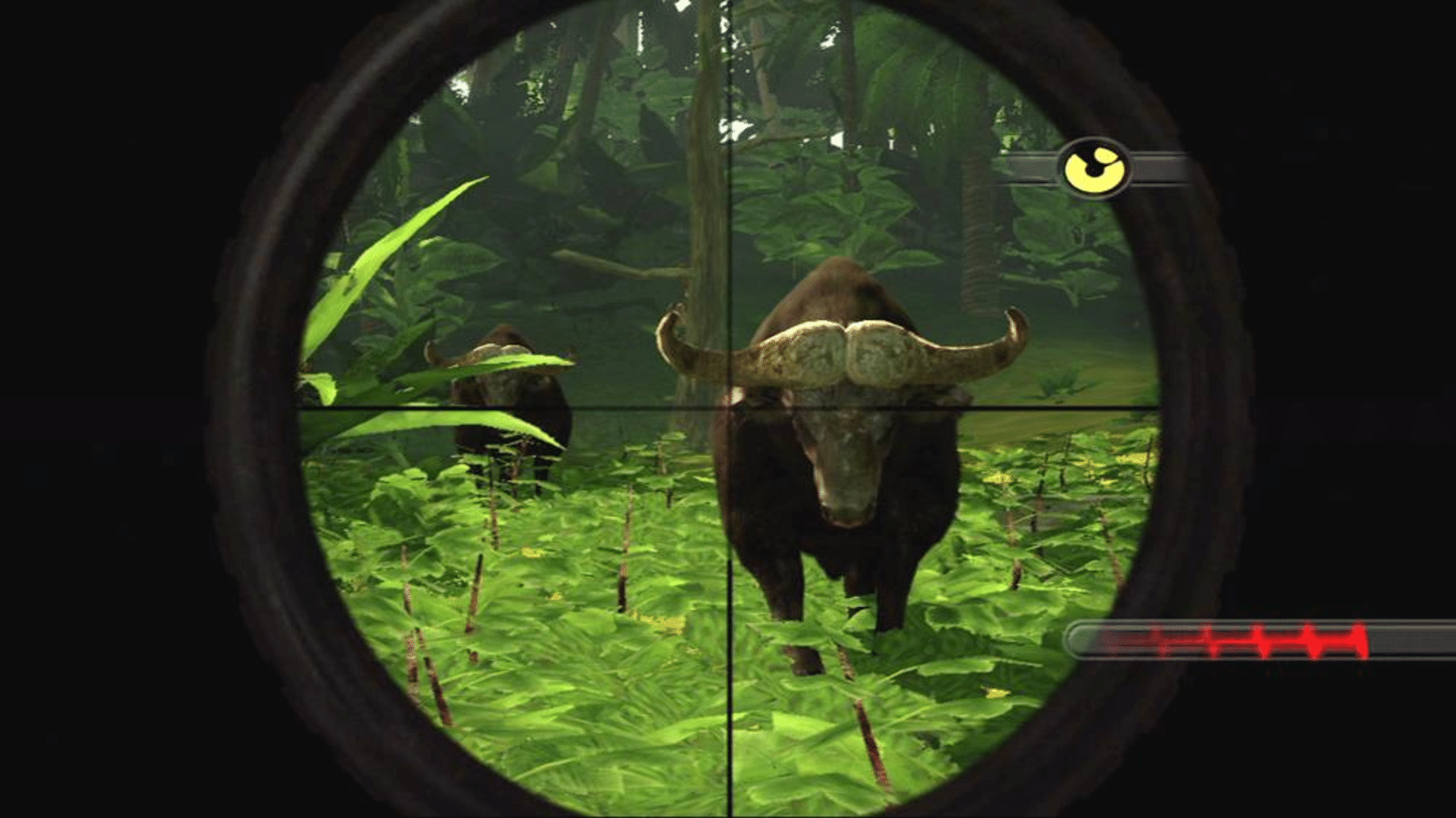 Cabela's Dangerous Hunts 2009 screenshot