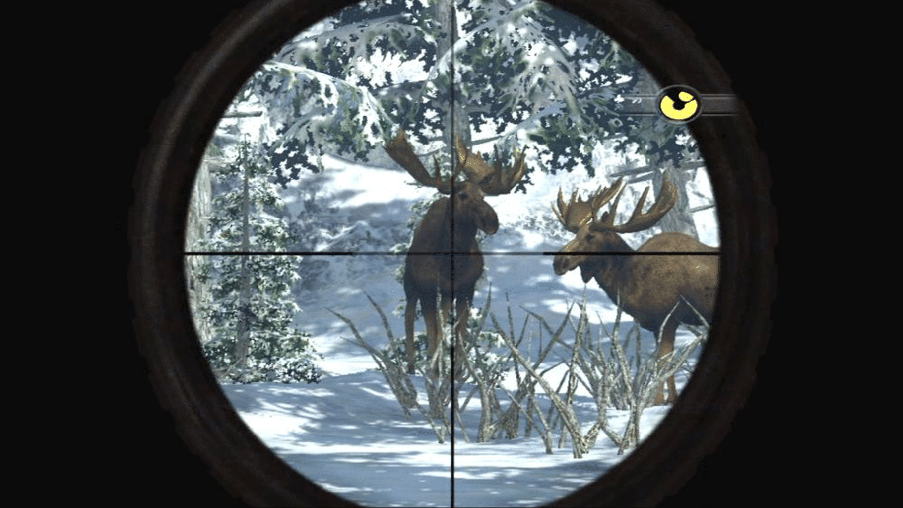 Cabela's Dangerous Hunts 2009 screenshot