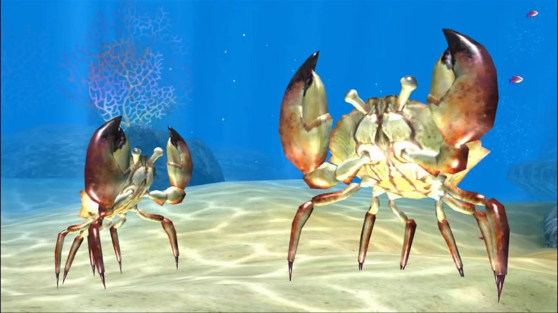 Thumbnail 13