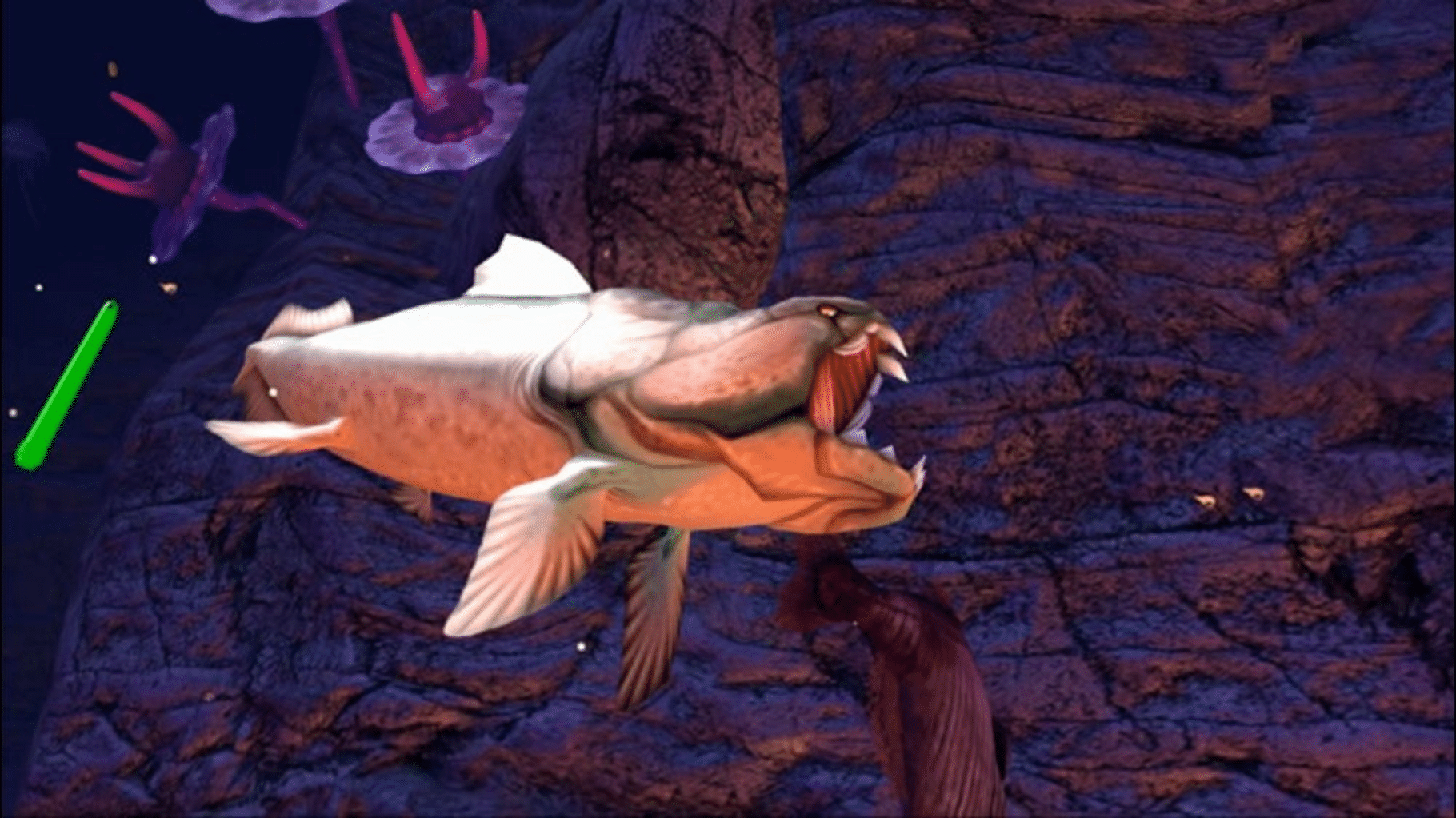 Sealife Safari screenshot