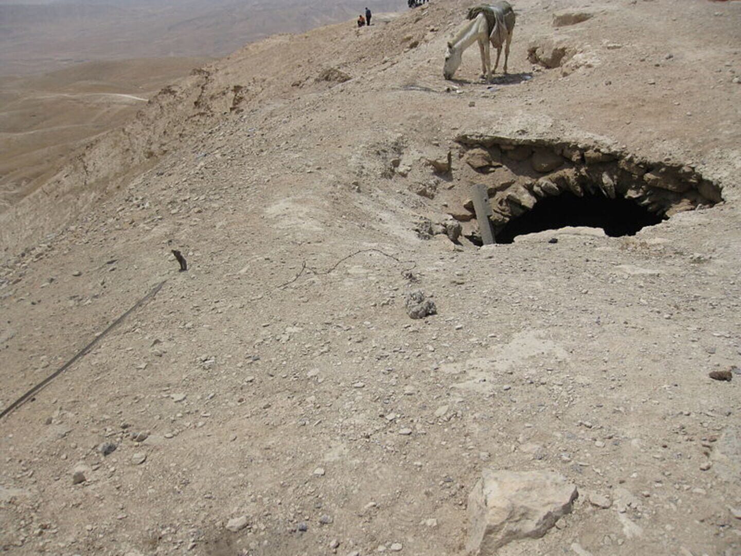 A Hole to Another Place SCP-1437 - Screenshot