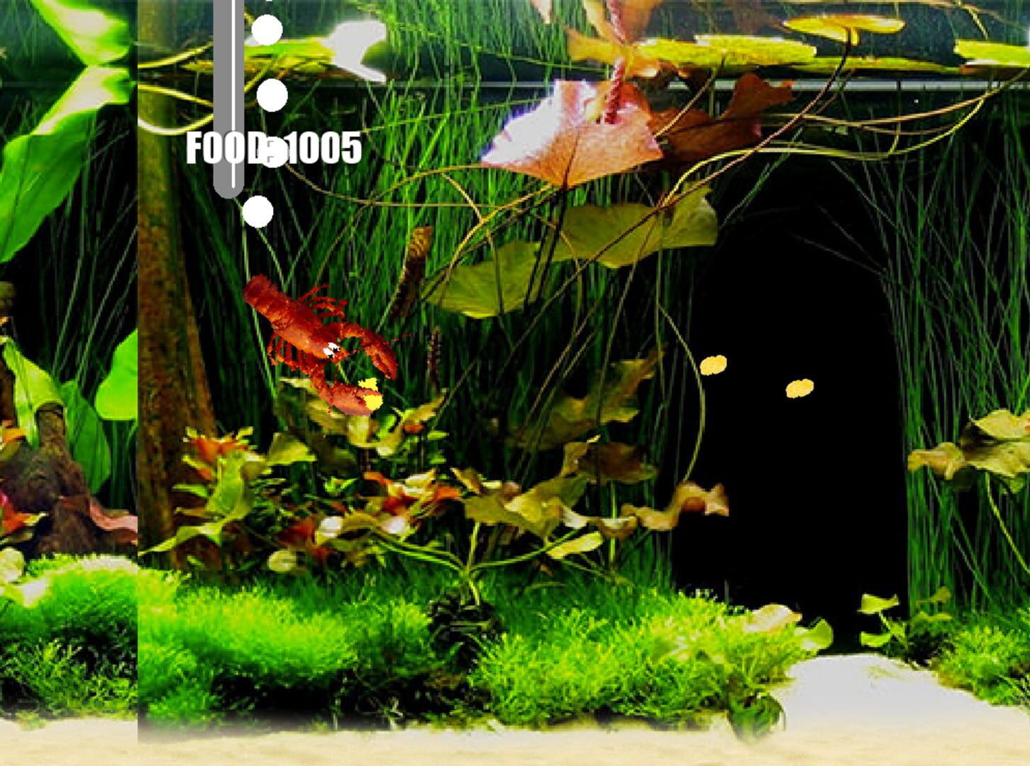 Aquarium Life - Screenshot