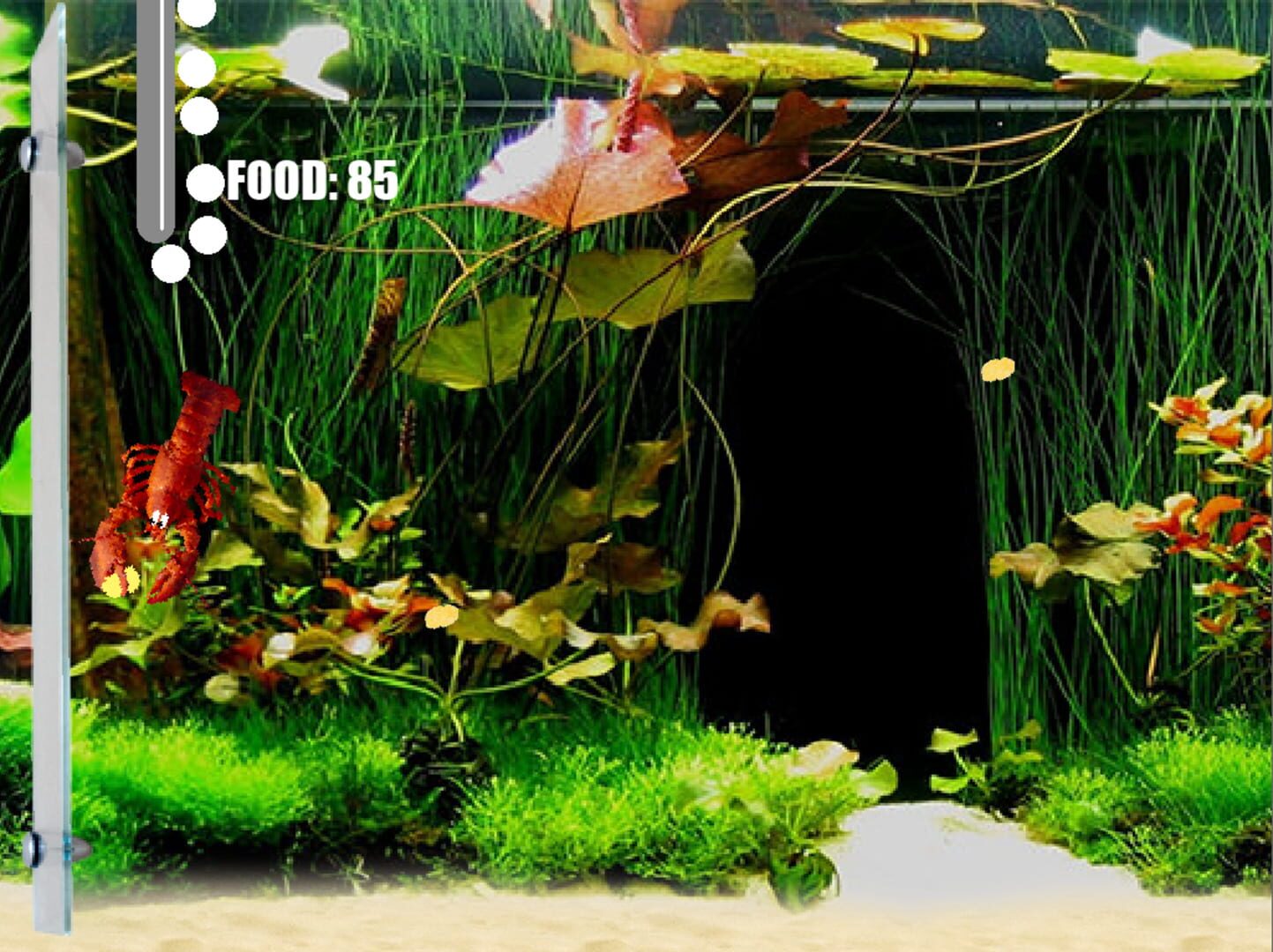 Aquarium Life - Screenshot