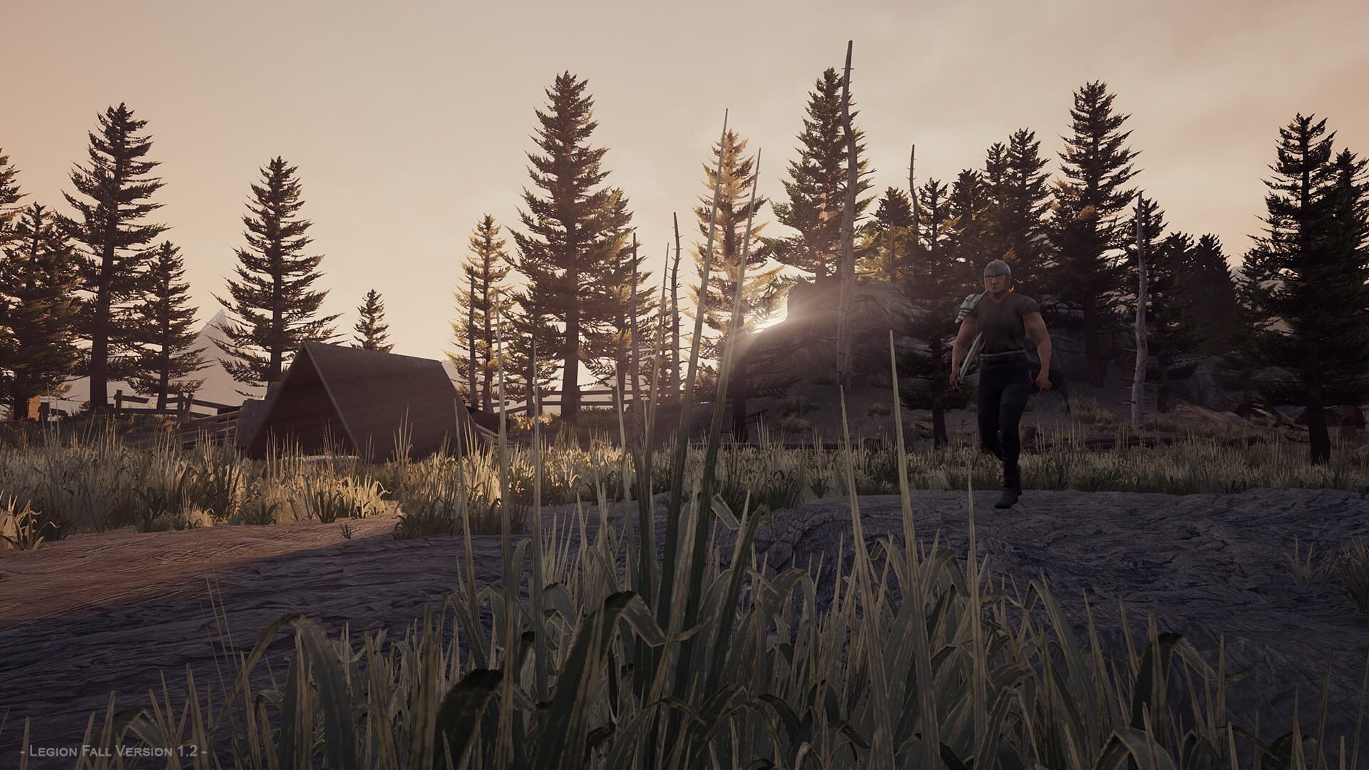 Legion Fall - Screenshot