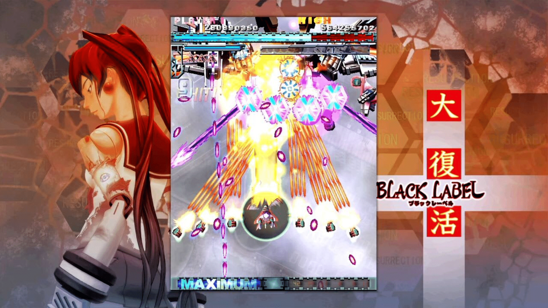 DoDonPachi Resurrection screenshot