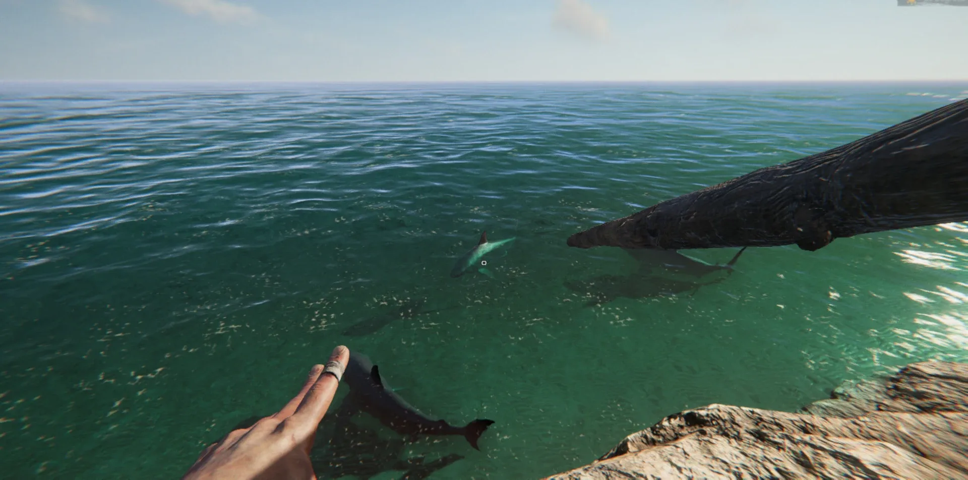Thumbnail 13