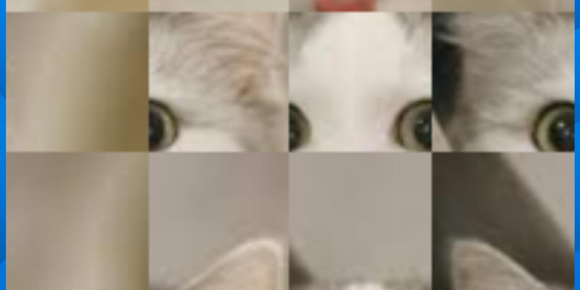 Meong Puzzel - Screenshot