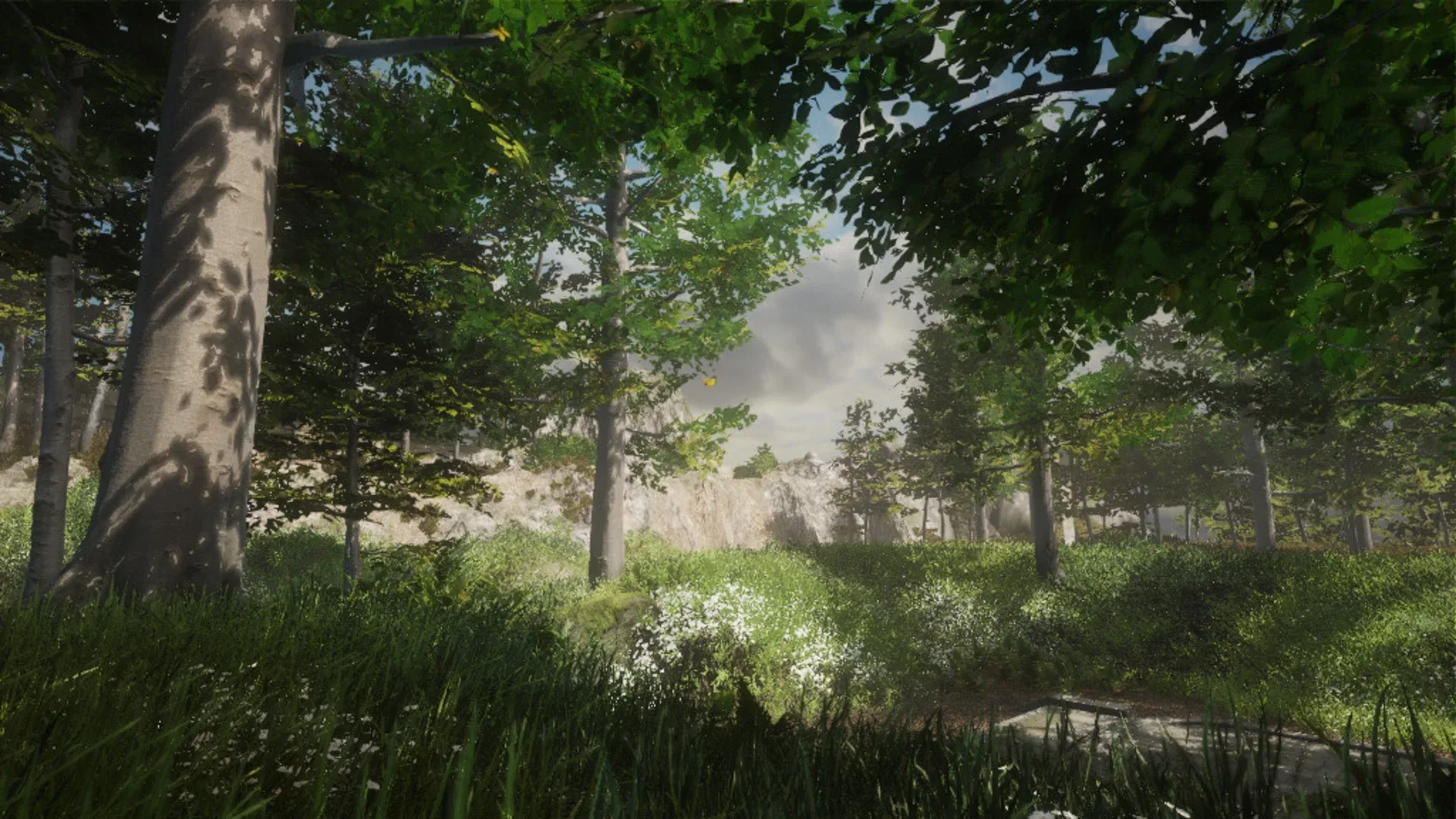 Thumbnail 11