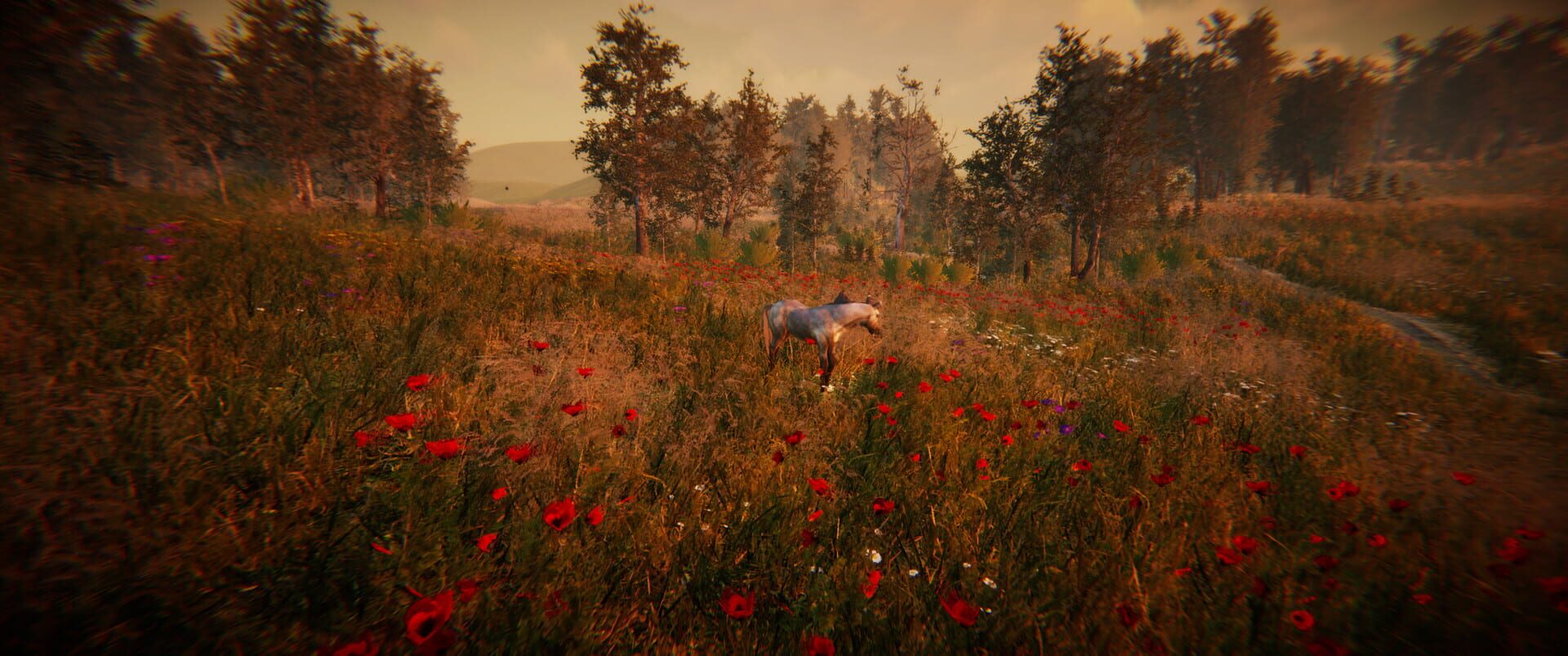 Animal Simulator - Screenshot