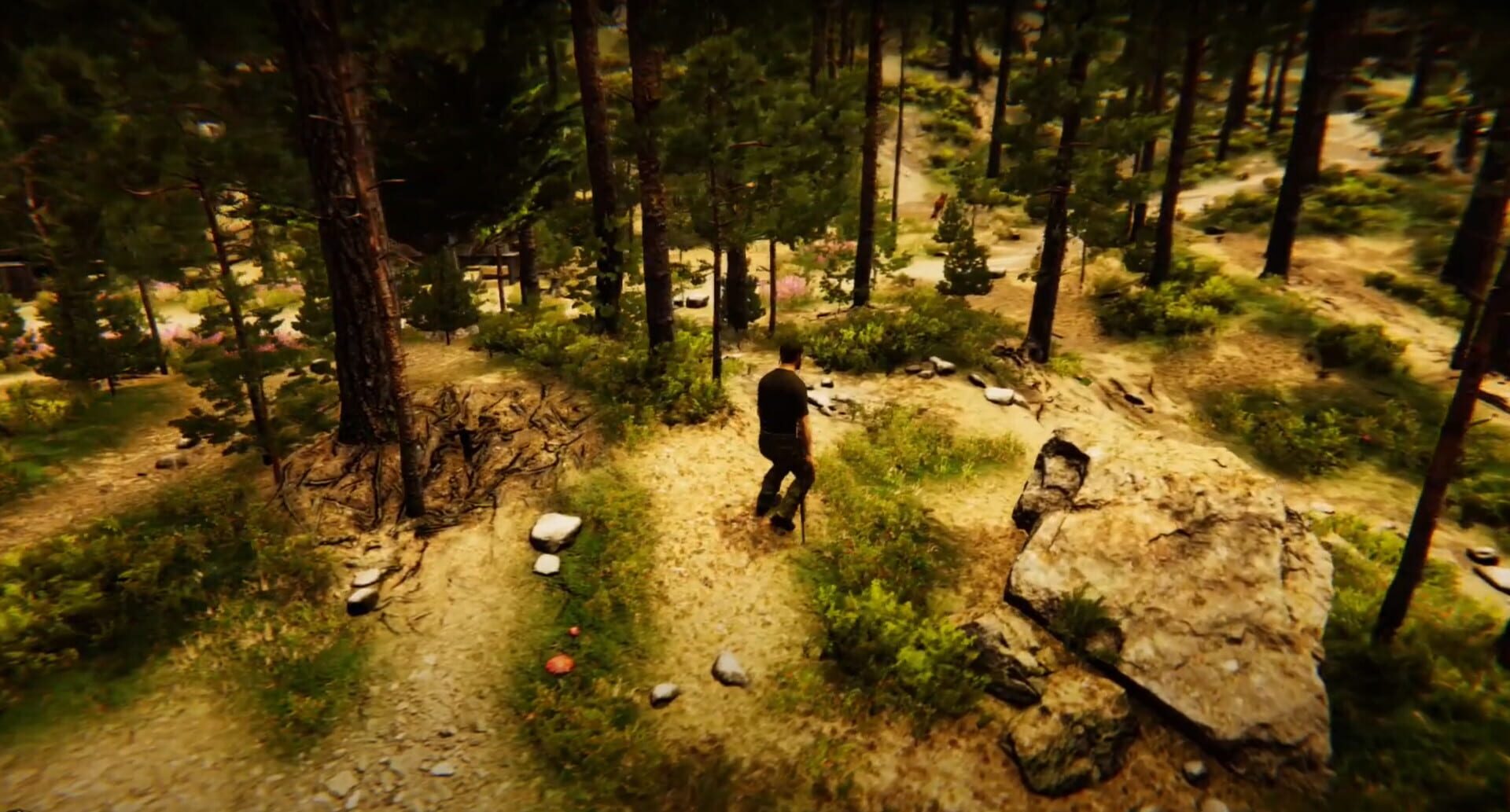Animal Simulator - Screenshot