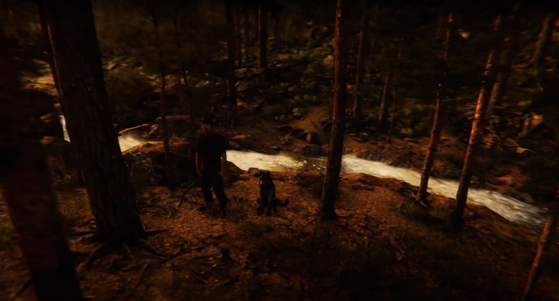 Animal Simulator - Screenshot