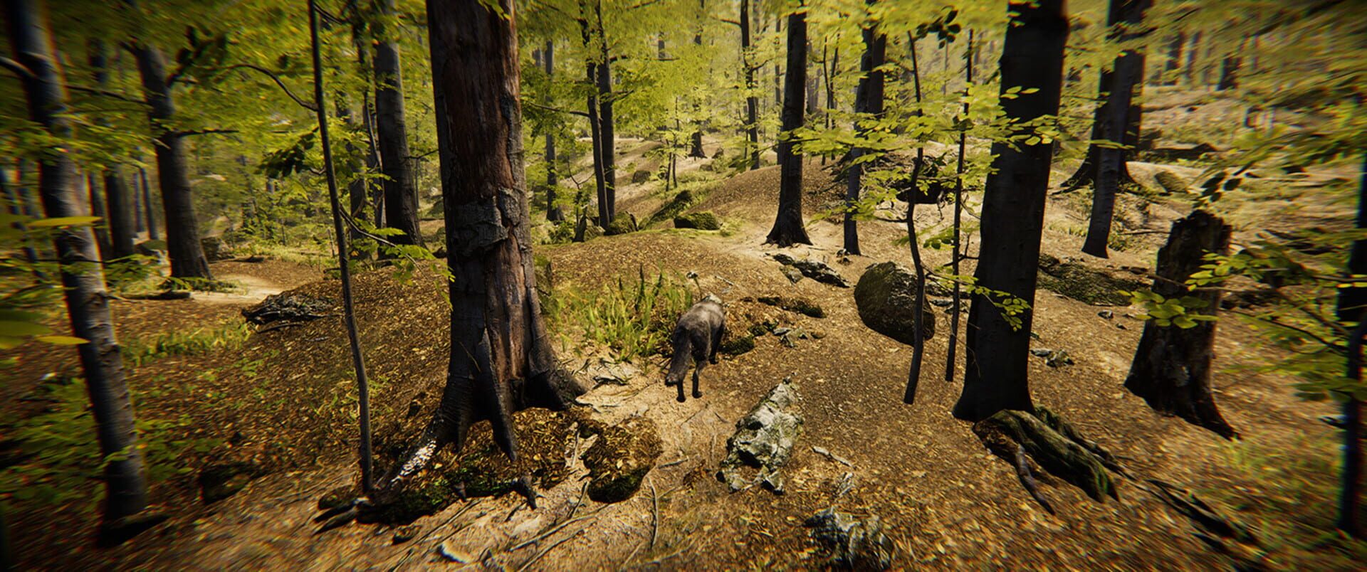 Animal Simulator - Screenshot