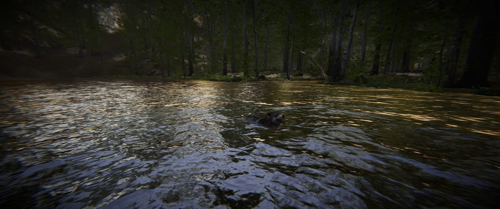Animal Simulator - Screenshot