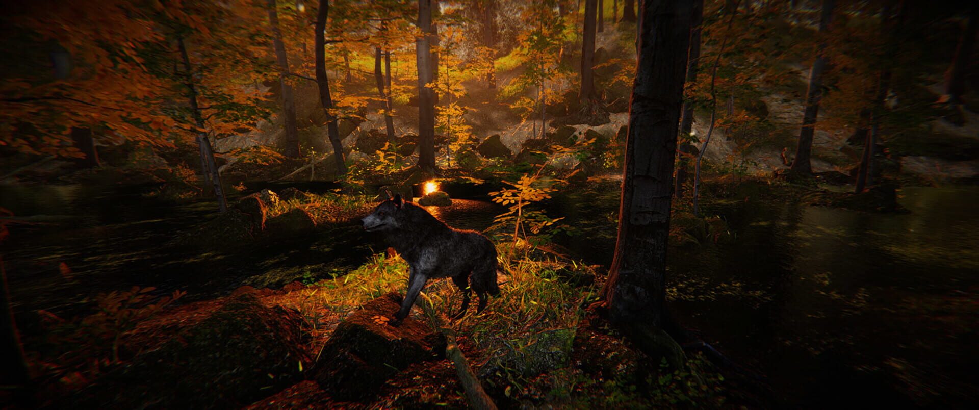 Animal Simulator - Screenshot