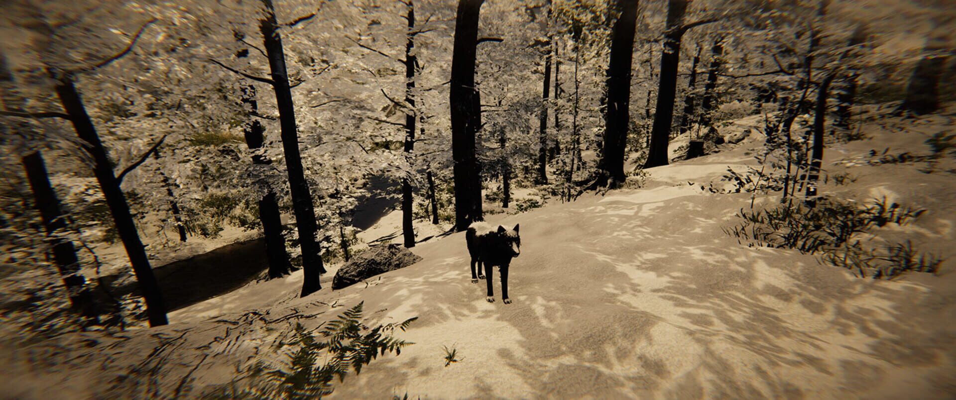 Animal Simulator - Screenshot
