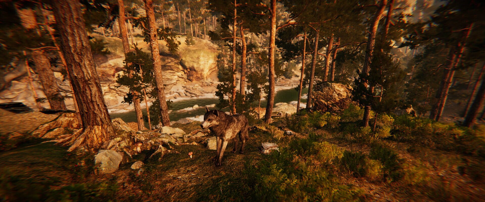 Animal Simulator - Screenshot