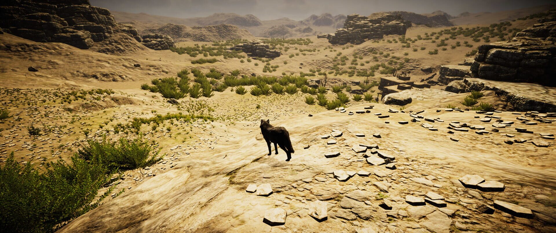 Animal Simulator - Screenshot
