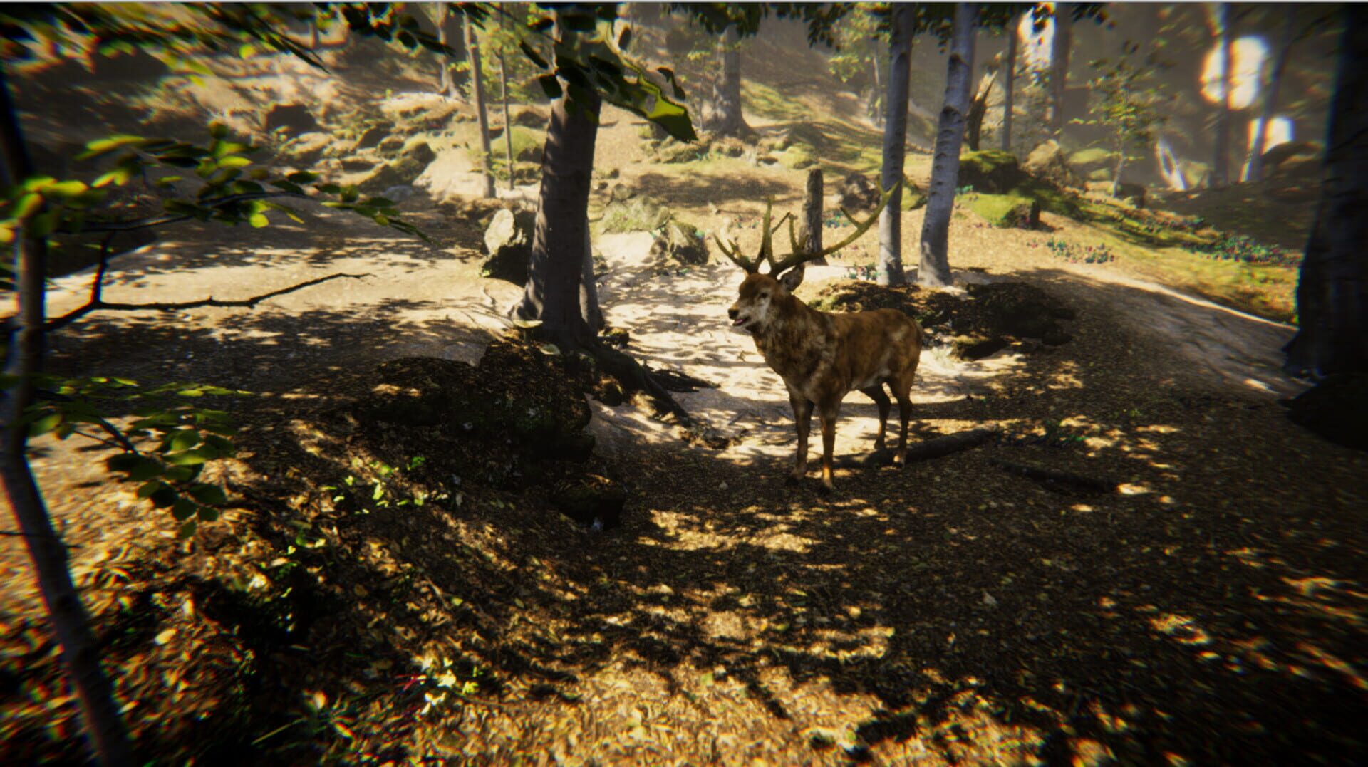 Animal Simulator - Screenshot