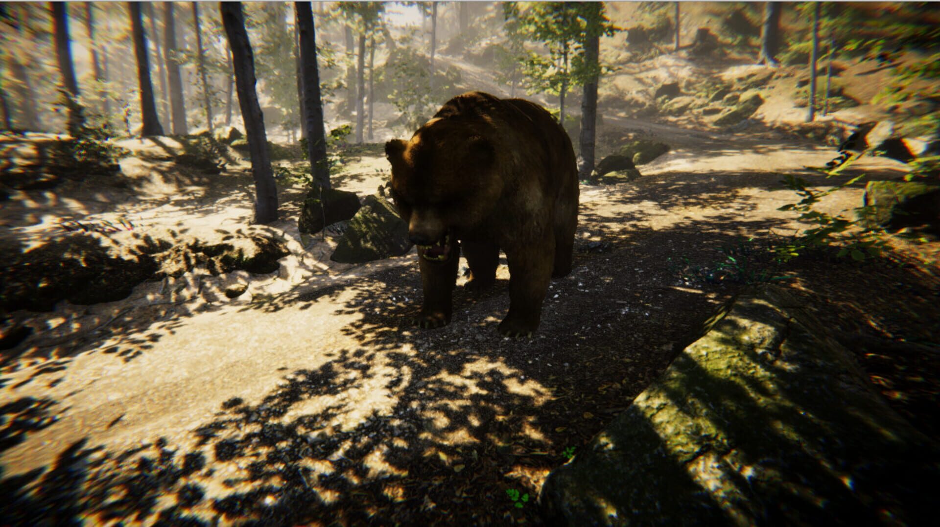 Animal Simulator - Screenshot