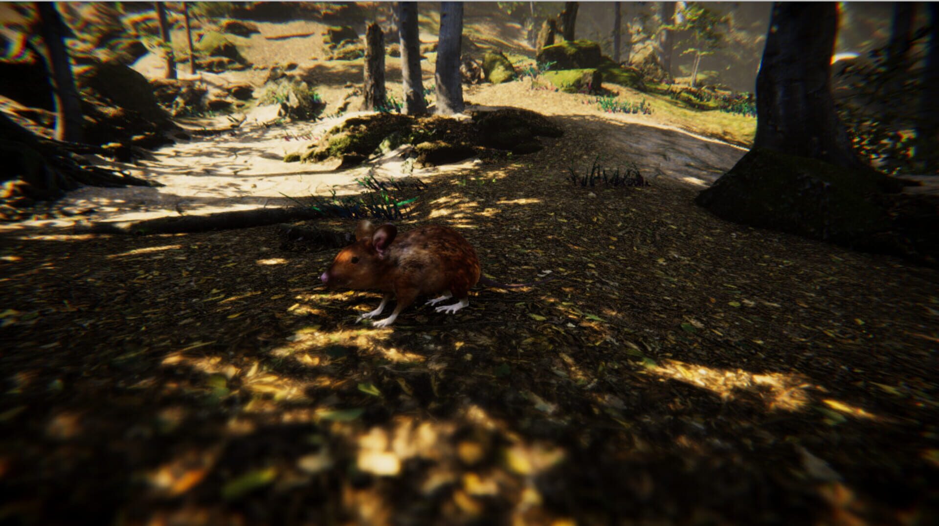 Animal Simulator - Screenshot
