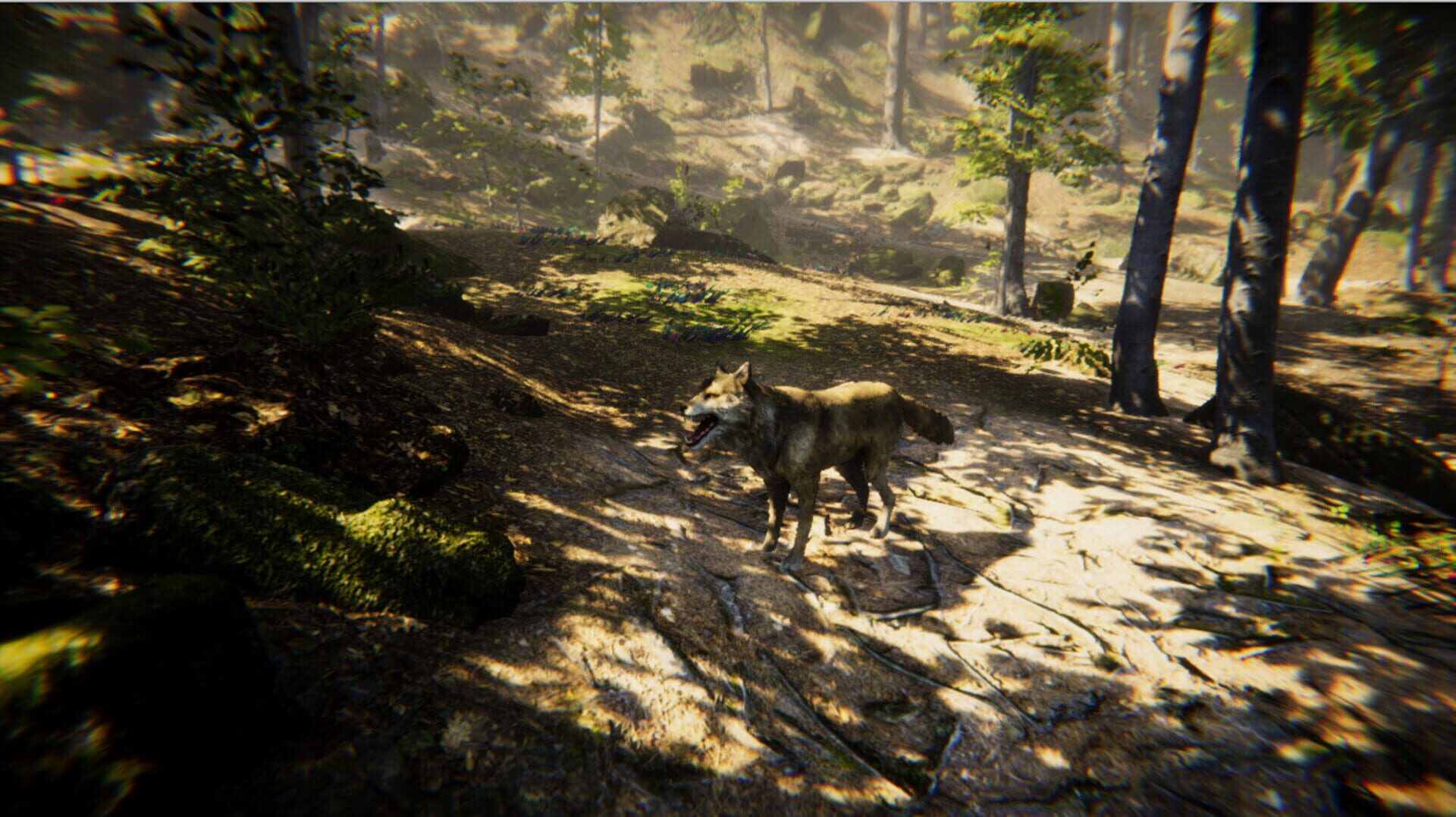 Animal Simulator - Screenshot