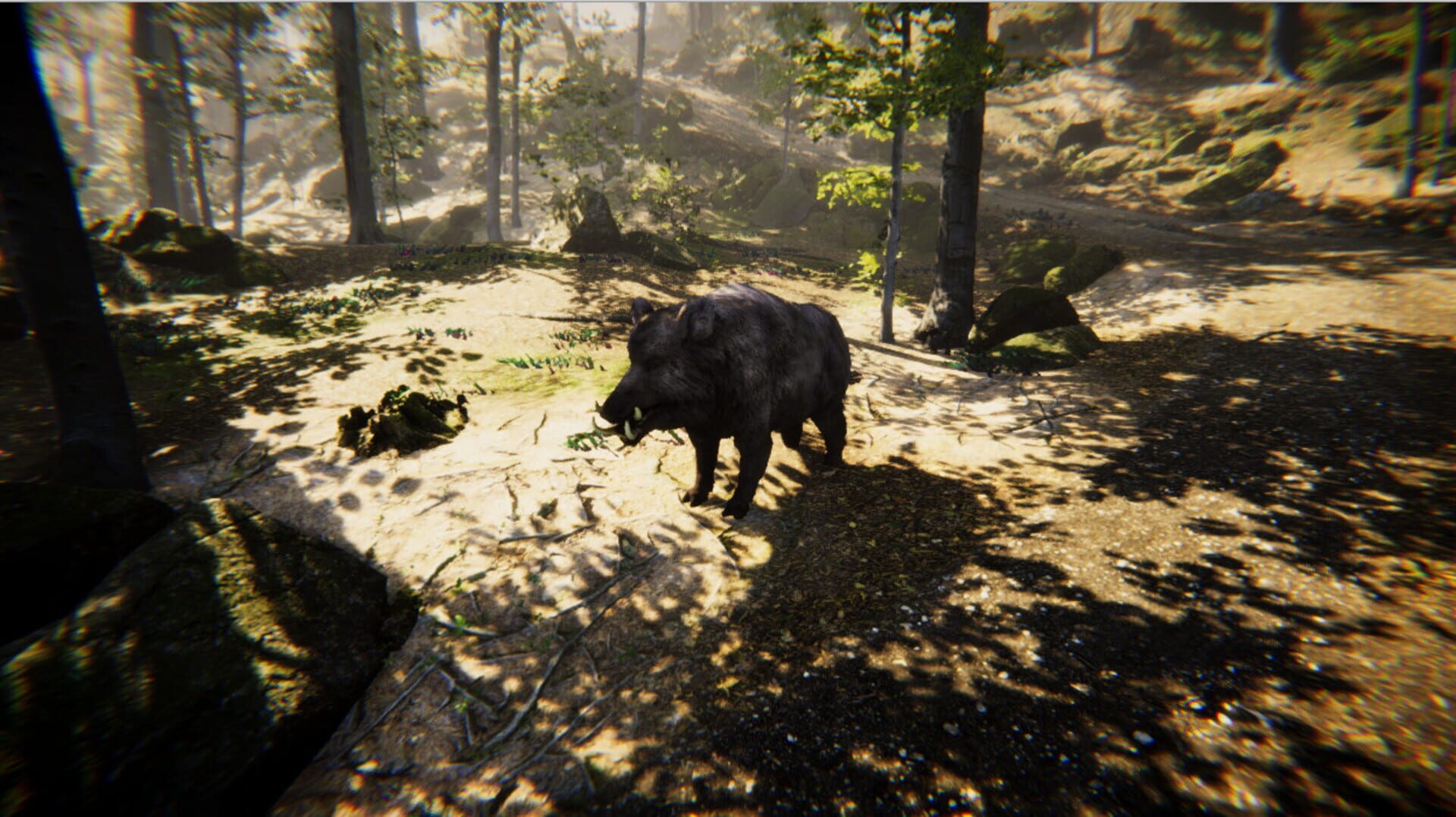Animal Simulator - Screenshot