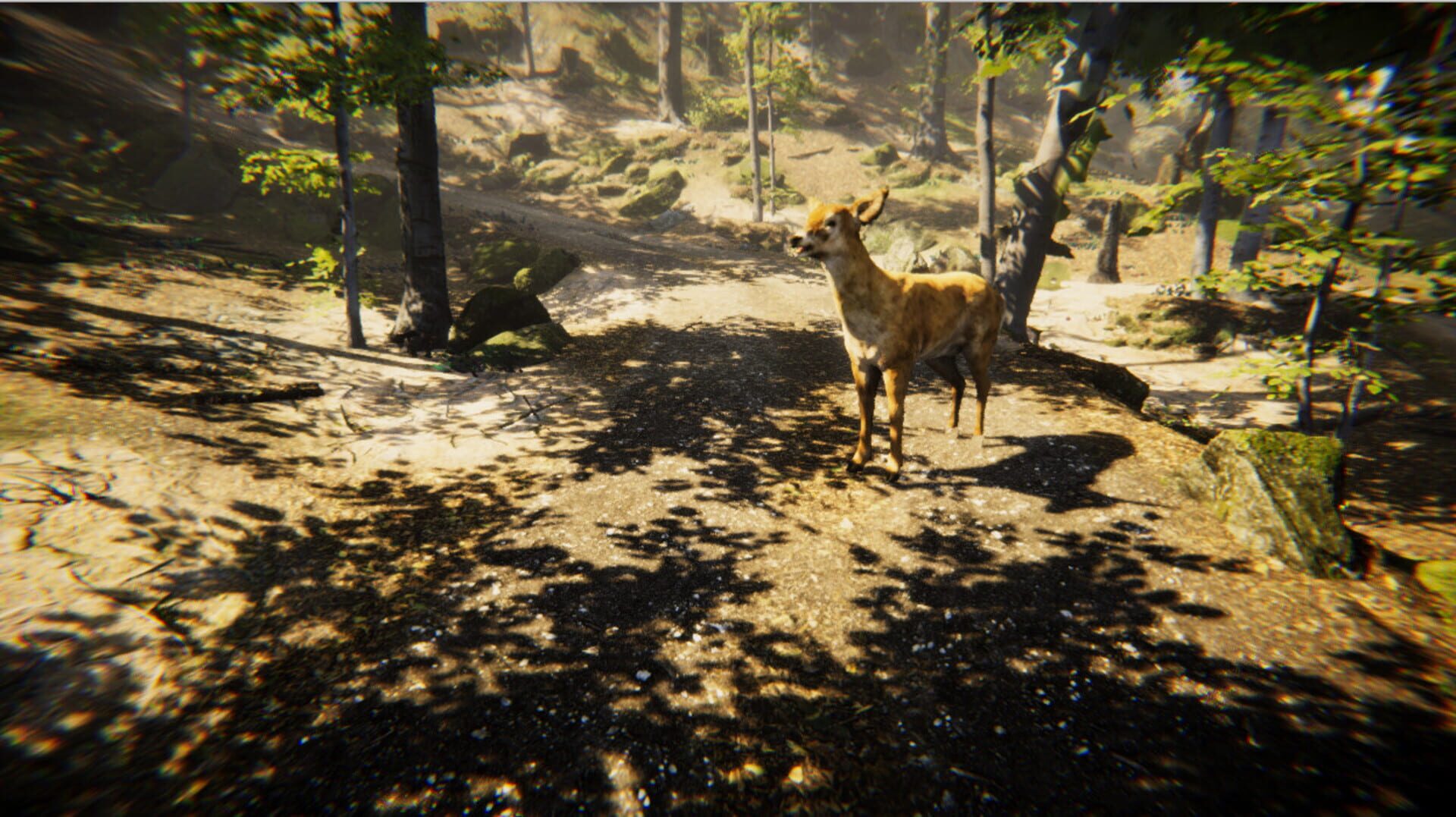 Animal Simulator - Screenshot