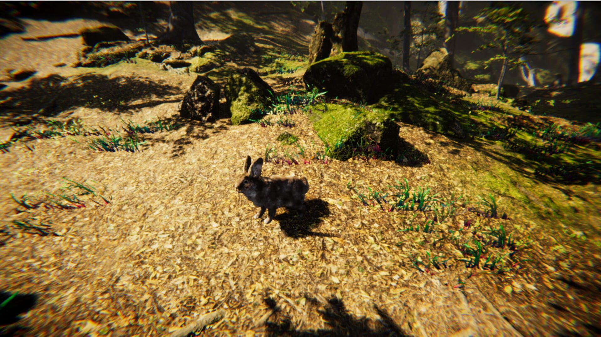 Animal Simulator - Screenshot