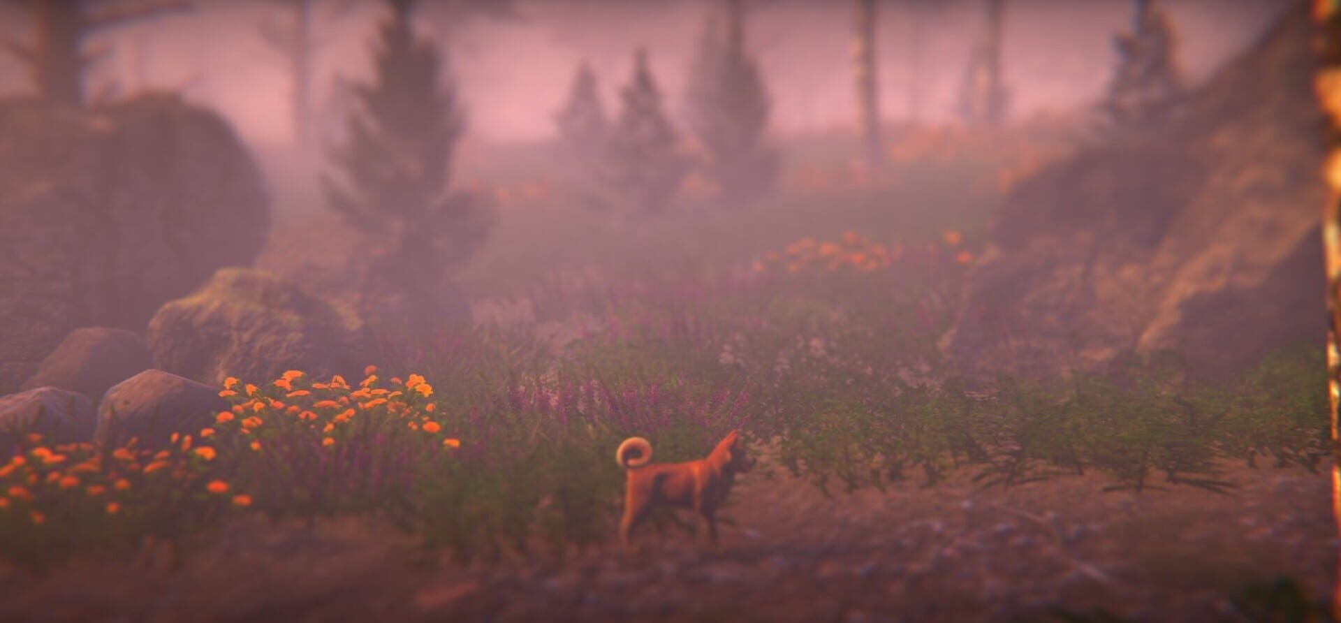 Nahka - Screenshot