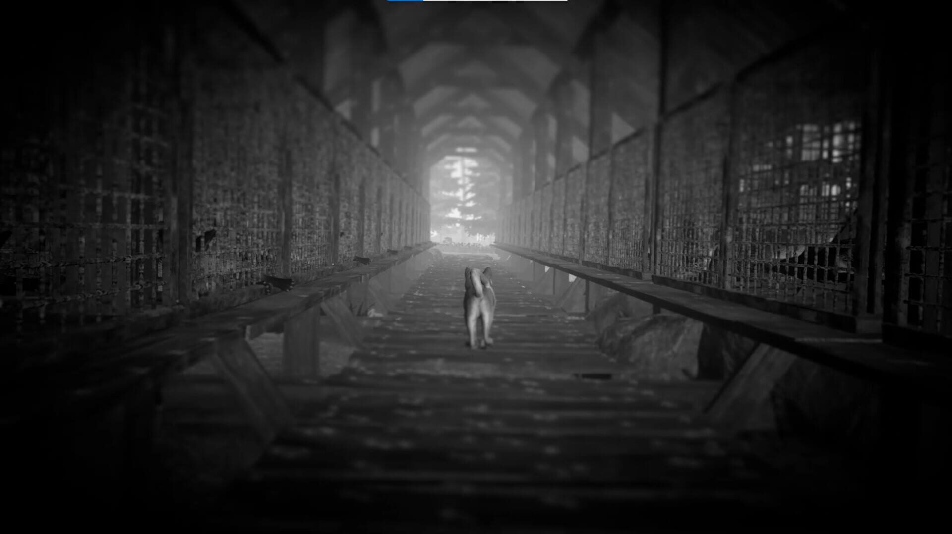 Nahka - Screenshot