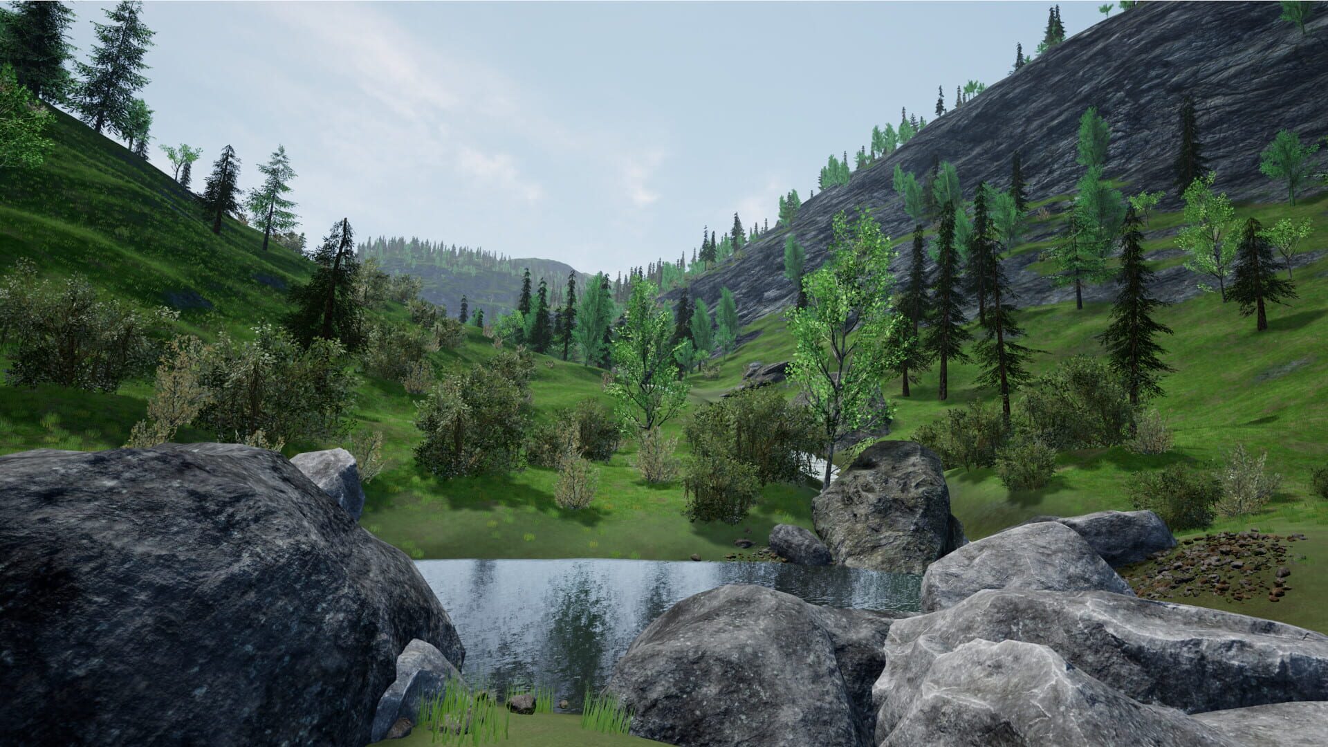 RFVR - Screenshot