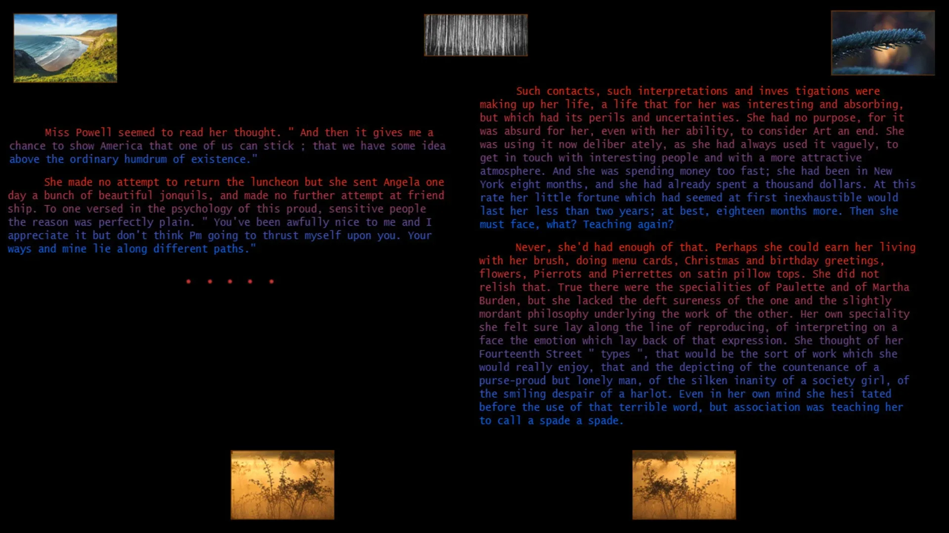 Thumbnail 5