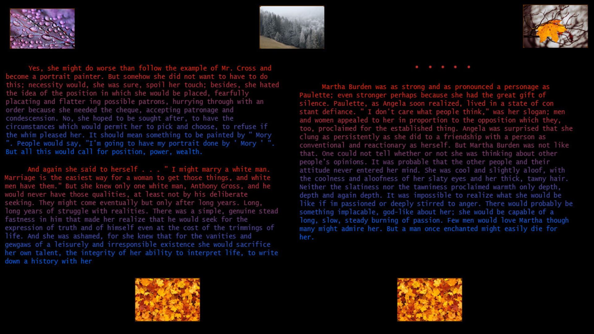 Plum Bun Reformatted - Screenshot