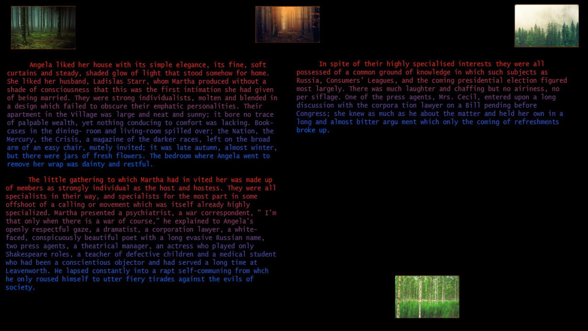 Plum Bun Reformatted - Screenshot