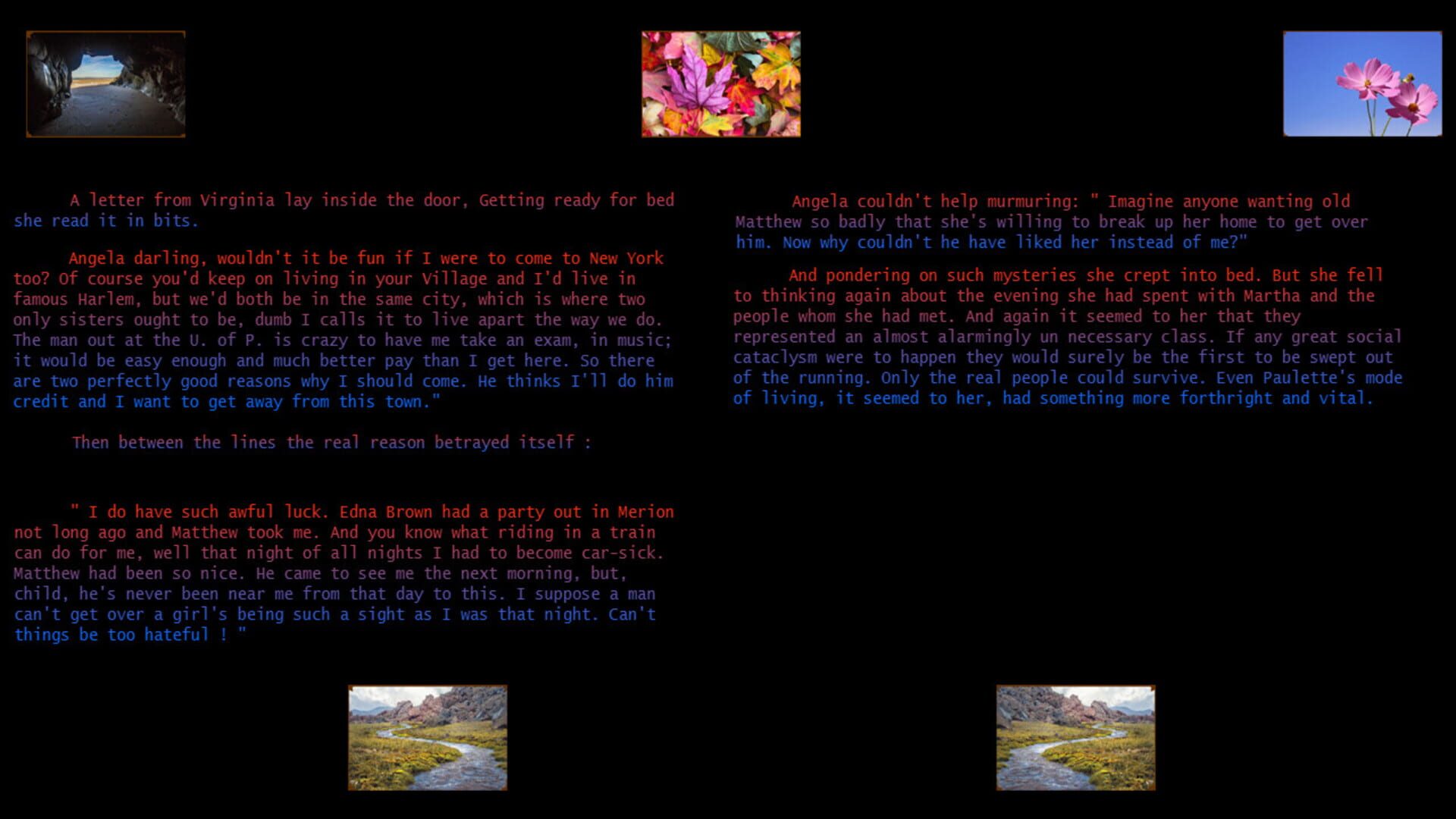 Plum Bun Reformatted - Screenshot