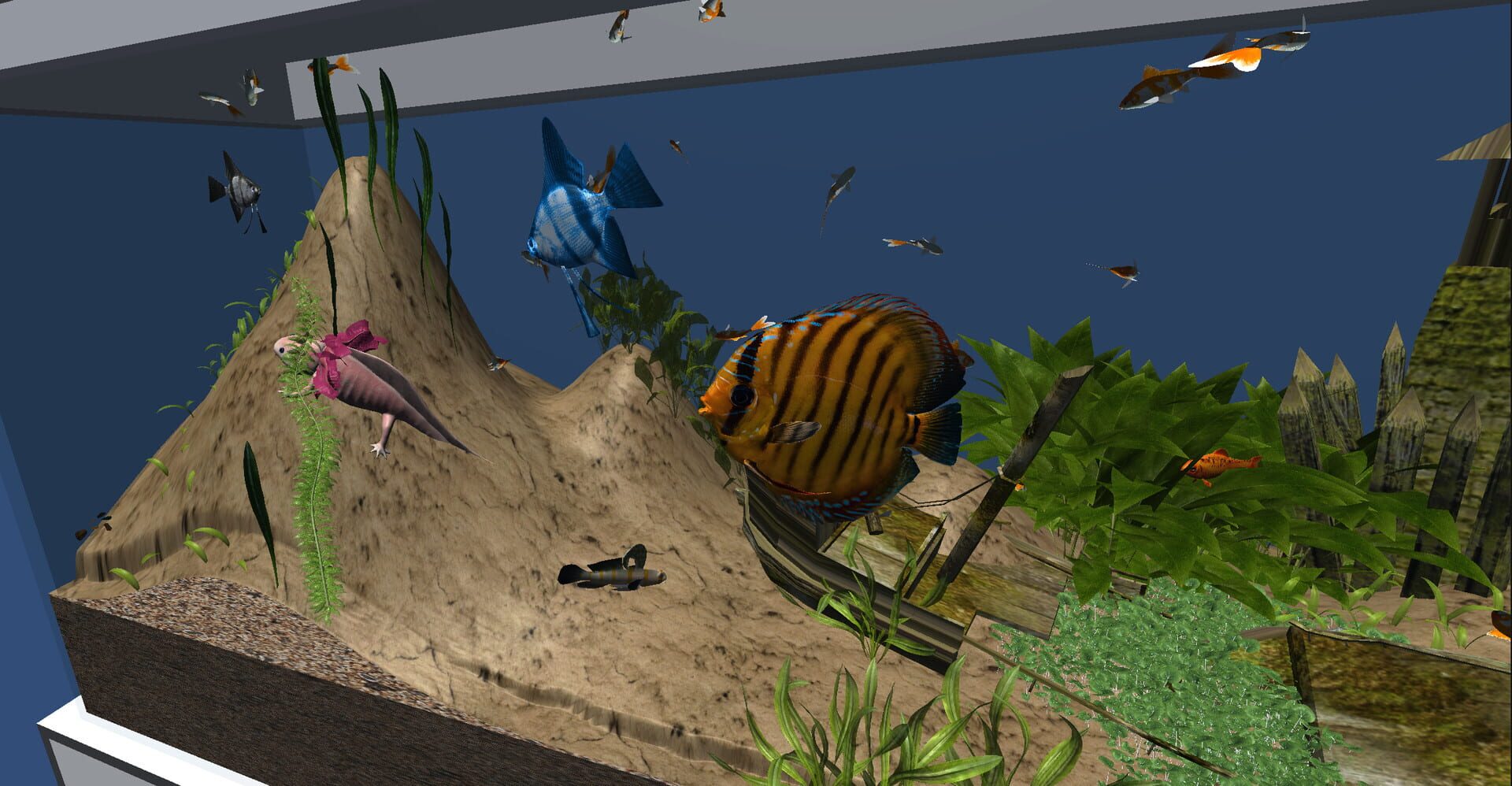Darwin's Aquarium - Screenshot