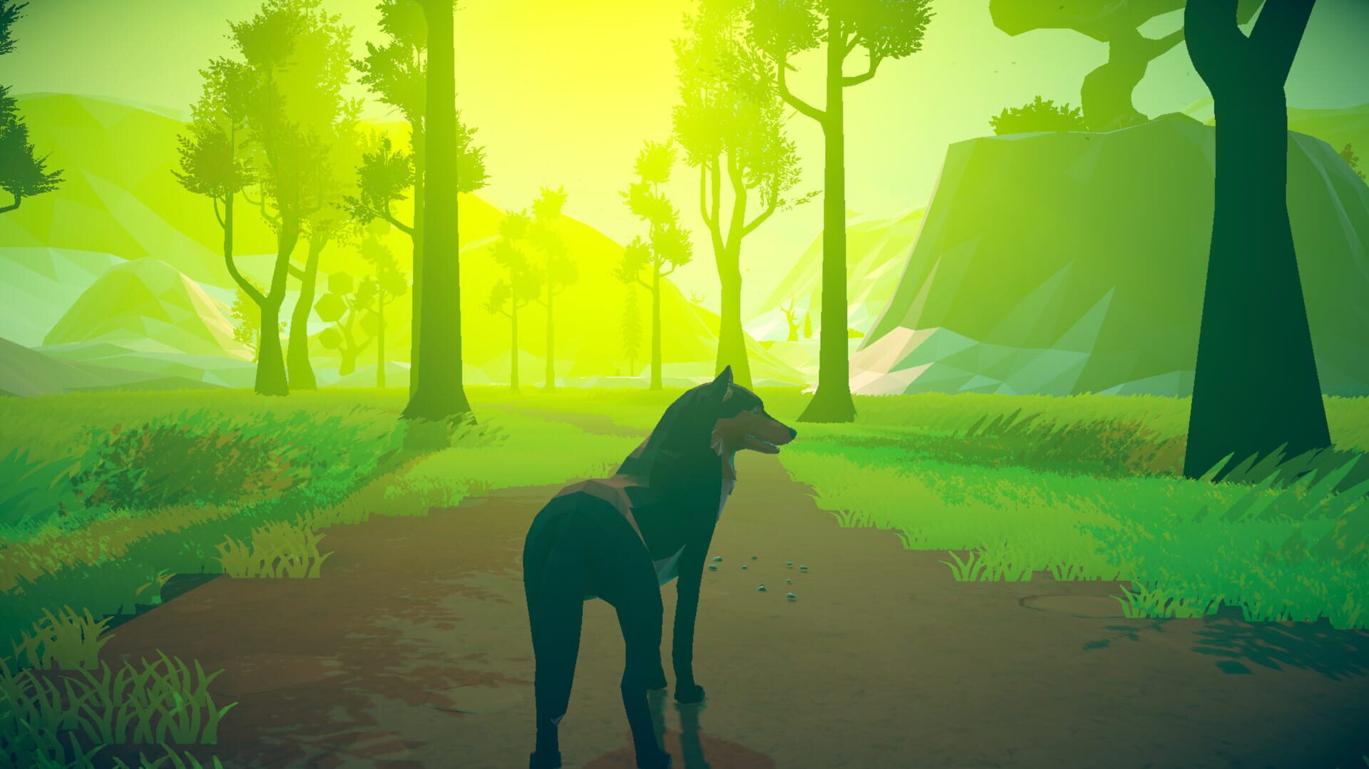 Lupa - Screenshot