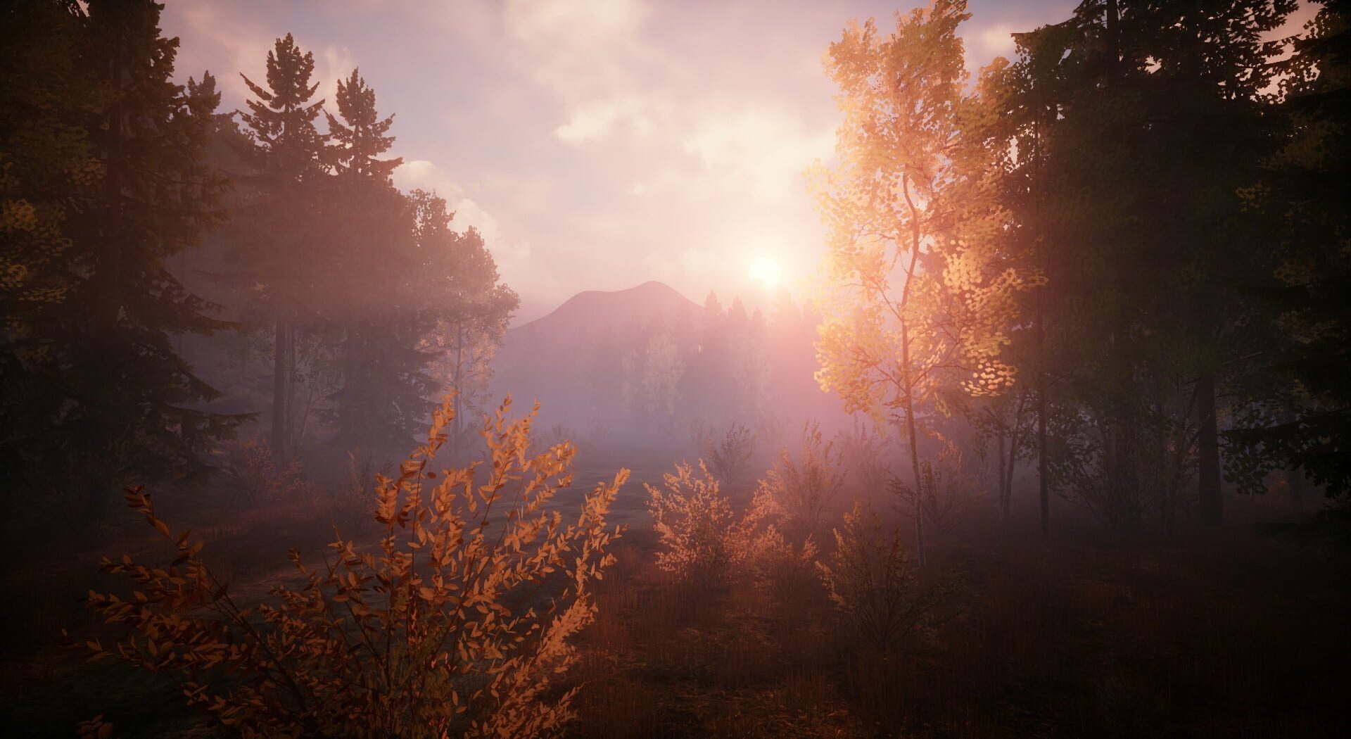 Chemists: Area of infection - Screenshot