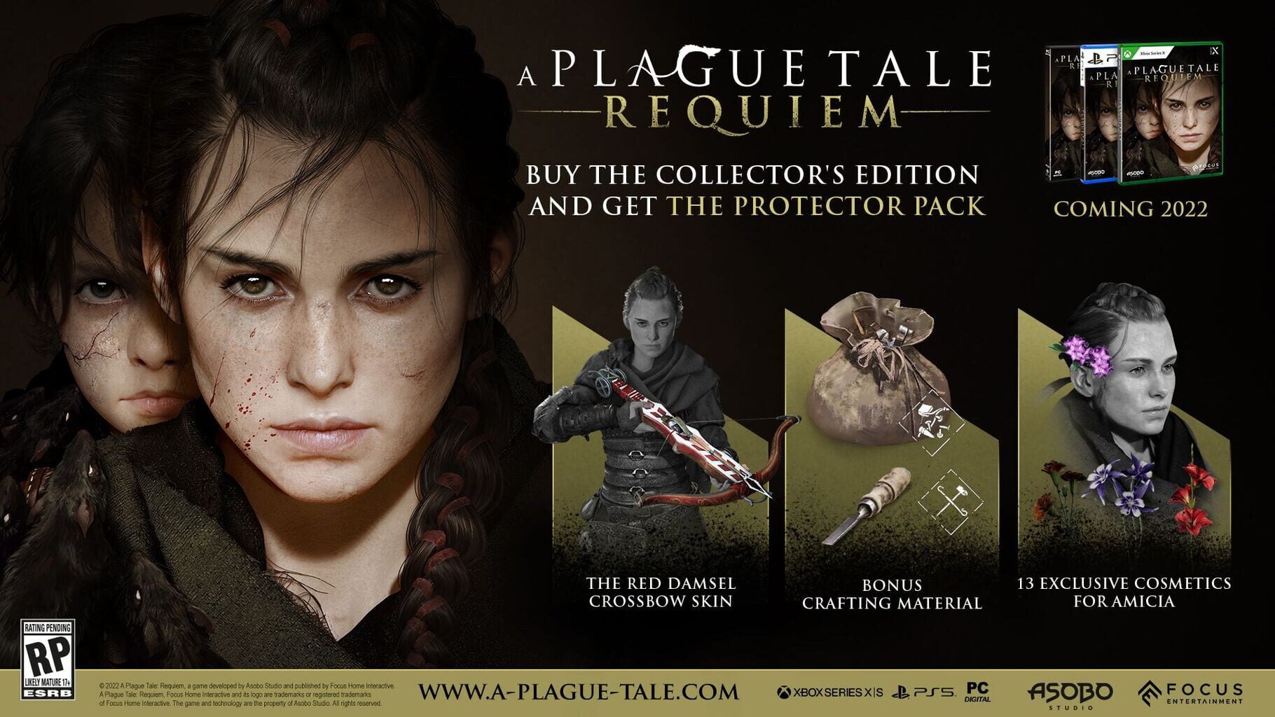 Captura de pantalla - A Plague Tale: Requiem - Collector's Edition