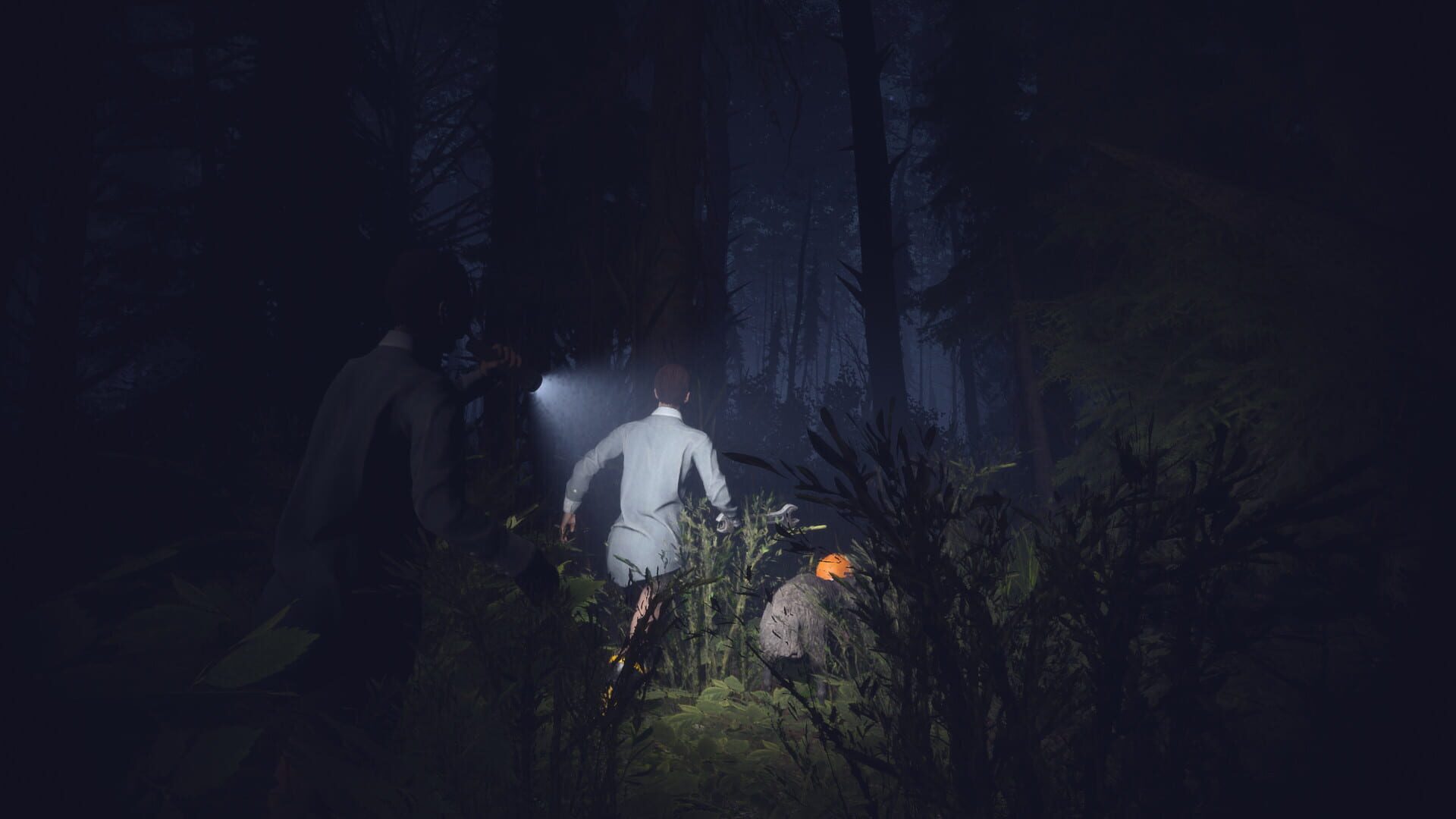 Light, Dark or Hrak? - Screenshot