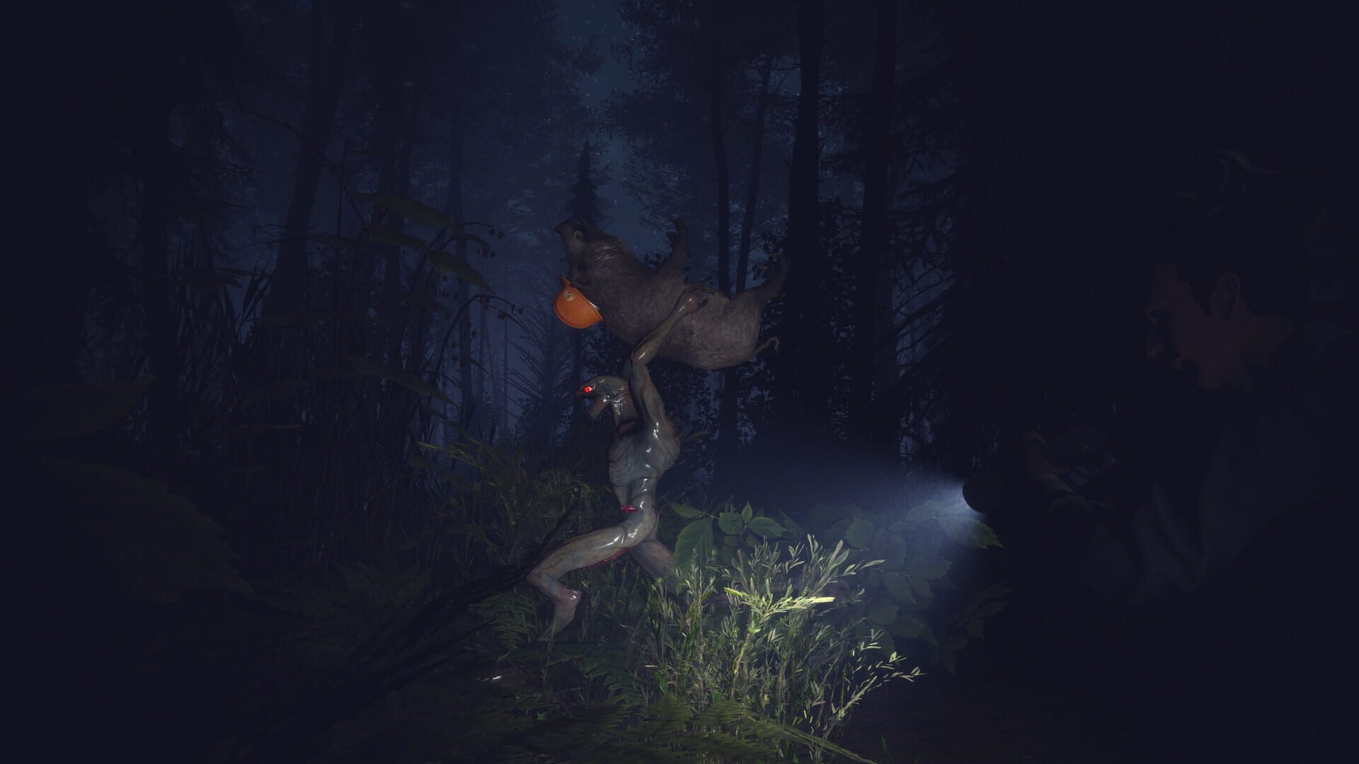 Light, Dark or Hrak? - Screenshot