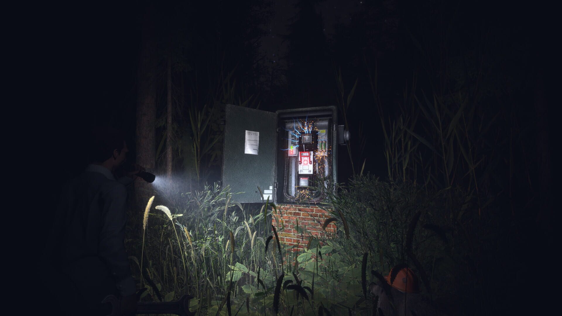 Light, Dark or Hrak? - Screenshot