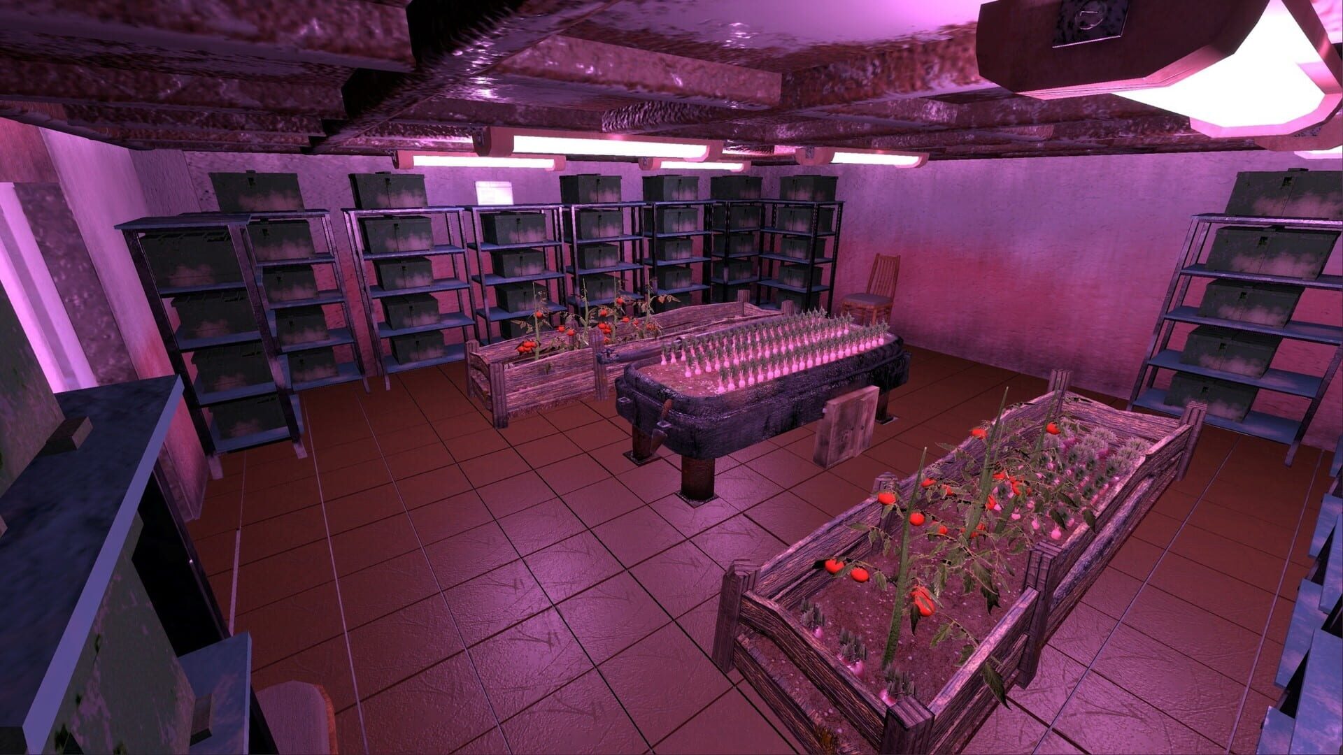 Society - Screenshot