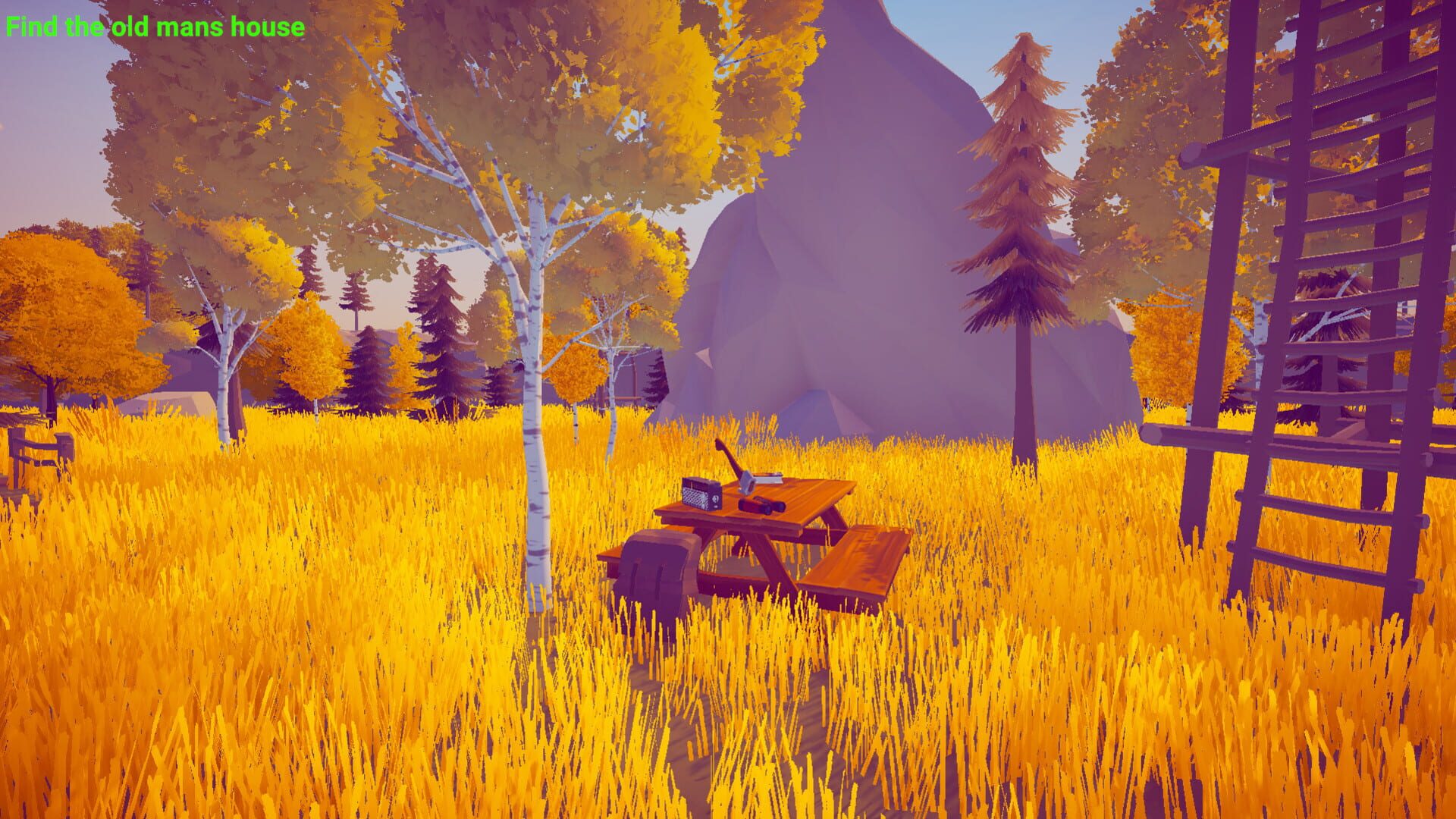 Forest Mystery - Screenshot