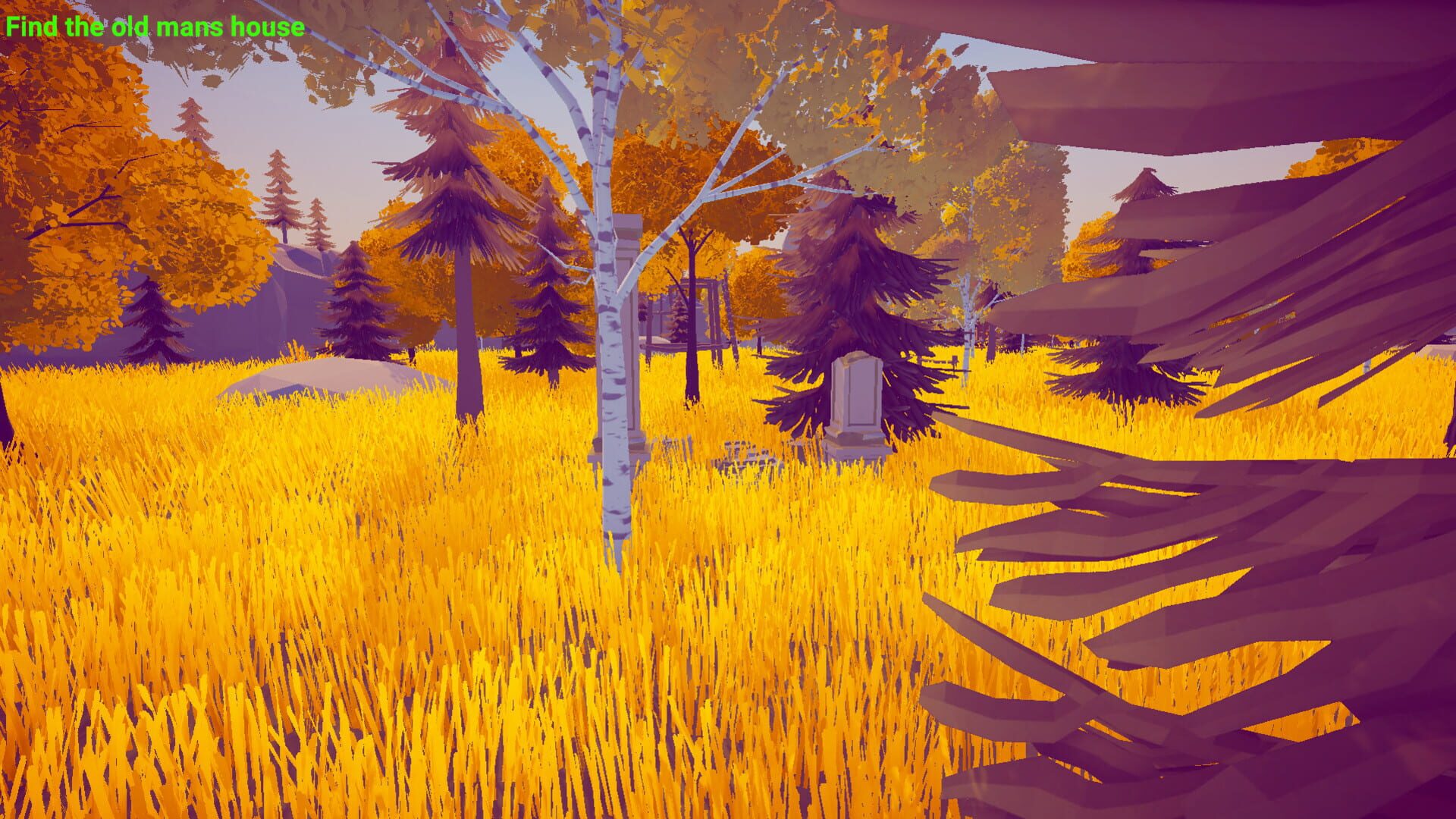 Forest Mystery - Screenshot